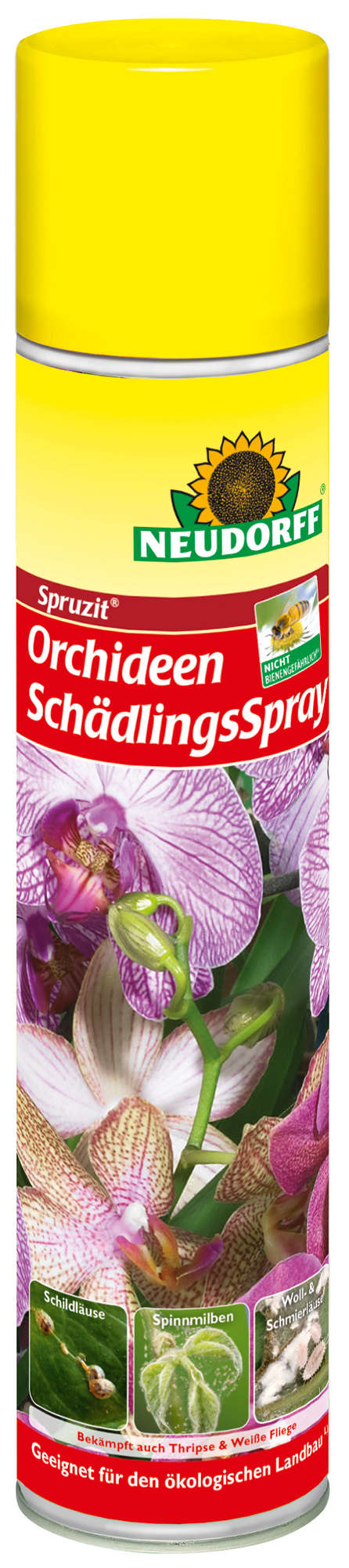 NEUDORFF Spruzit Orchideen SchädlingsSpray