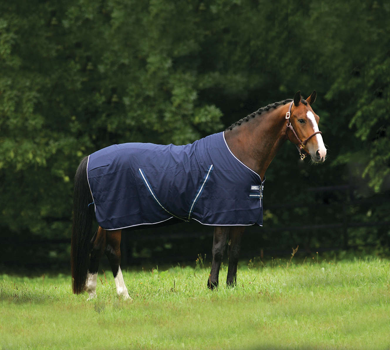Horseware RAMBO Stalldecke