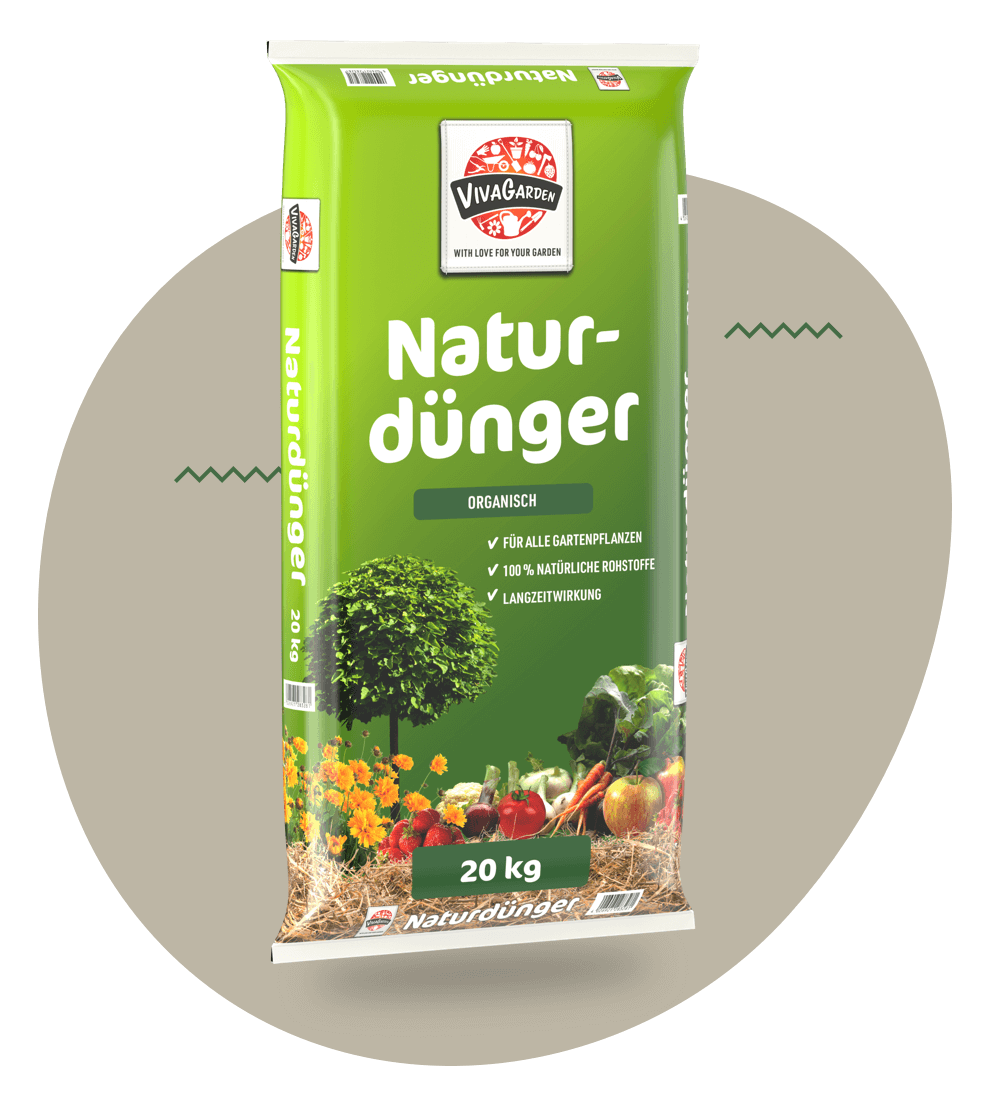 teaser viva garden naturduenger blumen garten gemuese