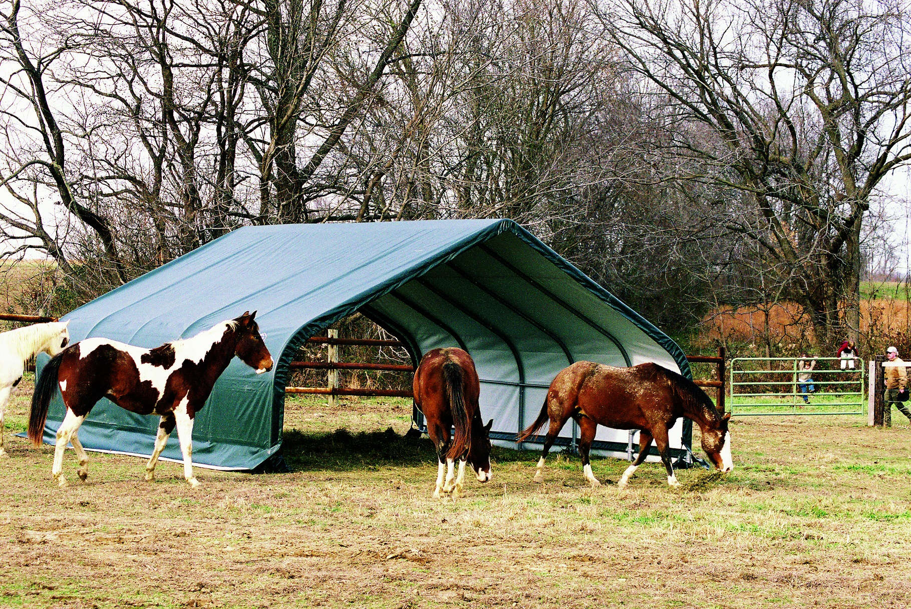 ShelterLogic Weidezelt
