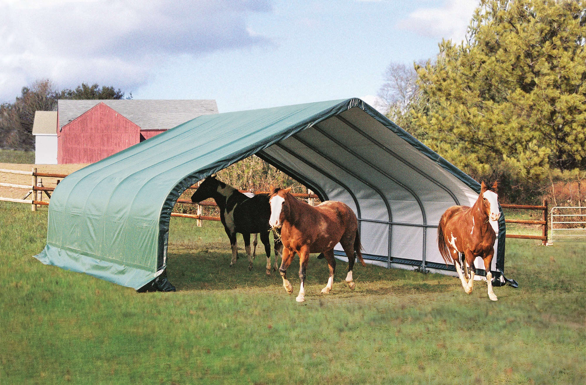 ShelterLogic Weidezelt