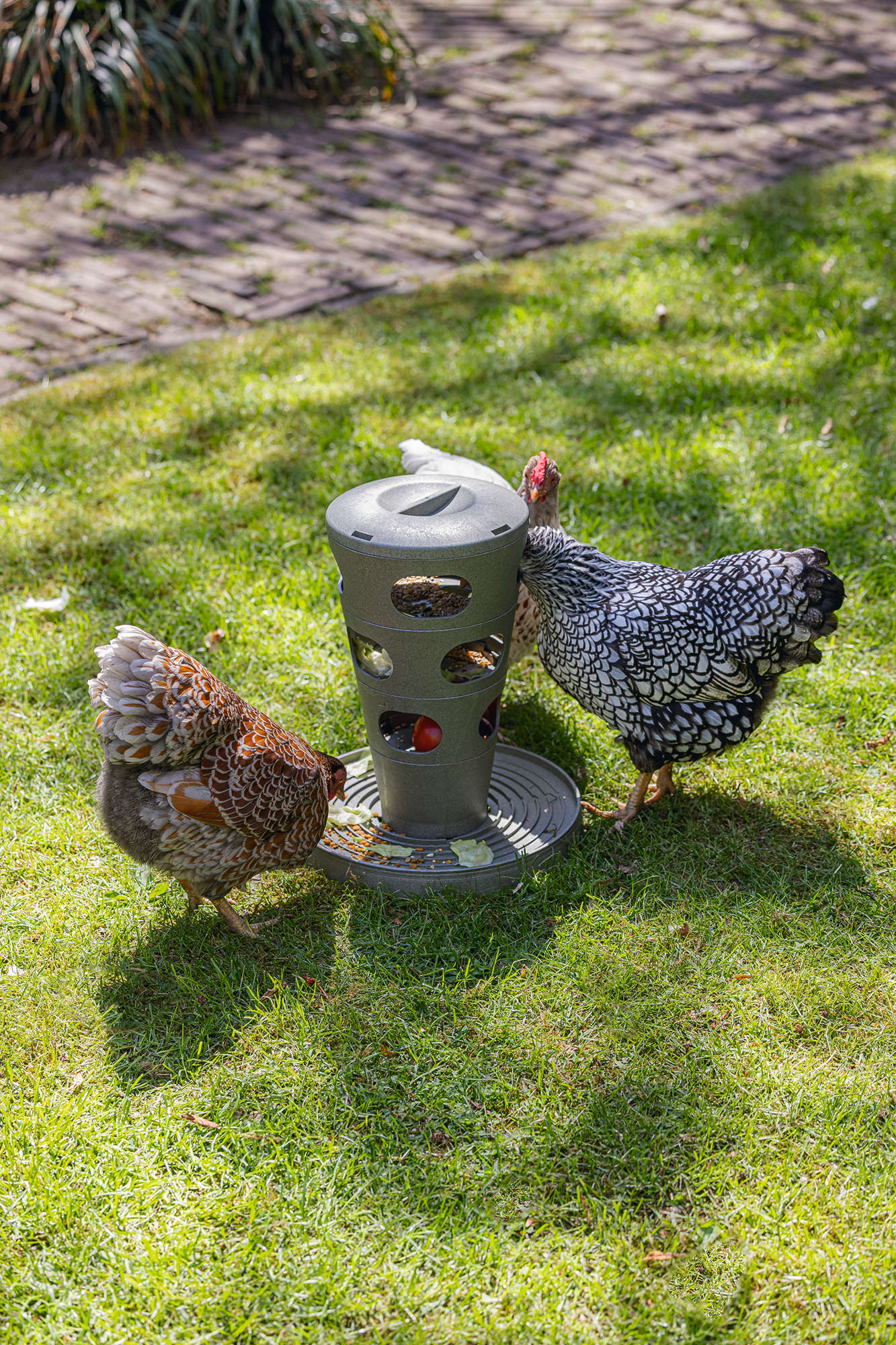BEEZTEES Hühner Futterturm
