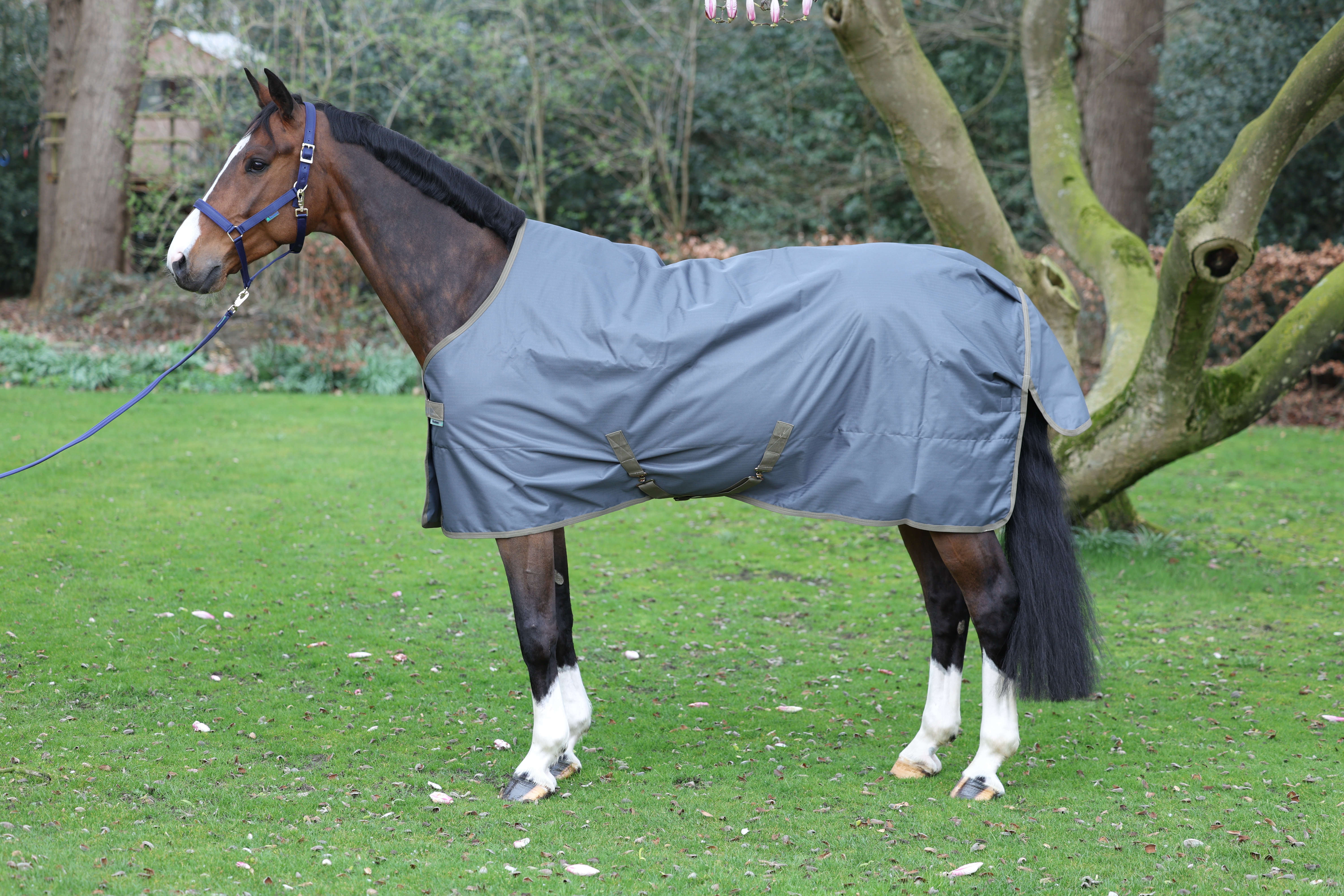 bucas Outdoordecke Freedom Turnout 50 g
