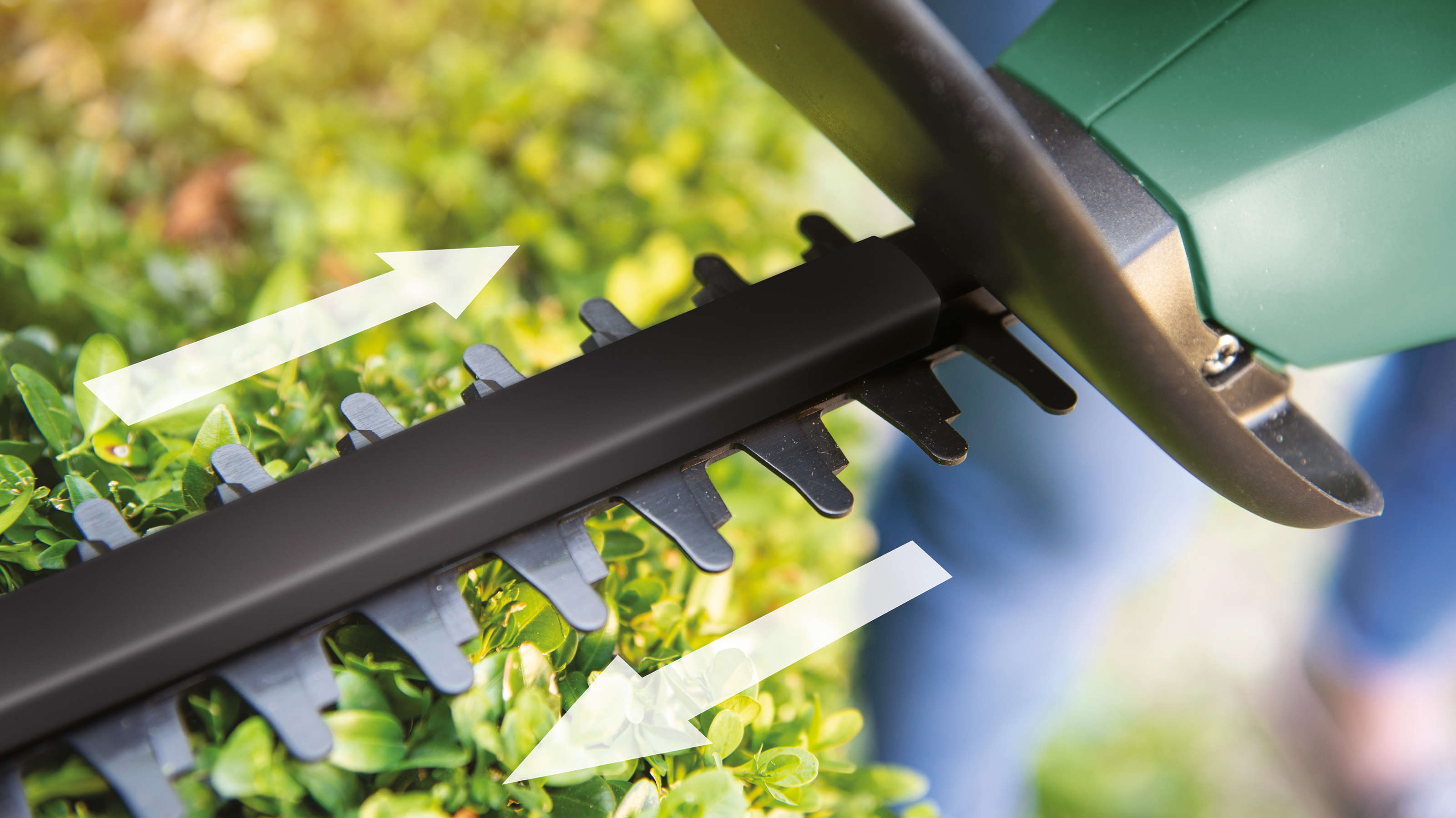 BOSCH EasyHedgeCut Akku-Heckenschere