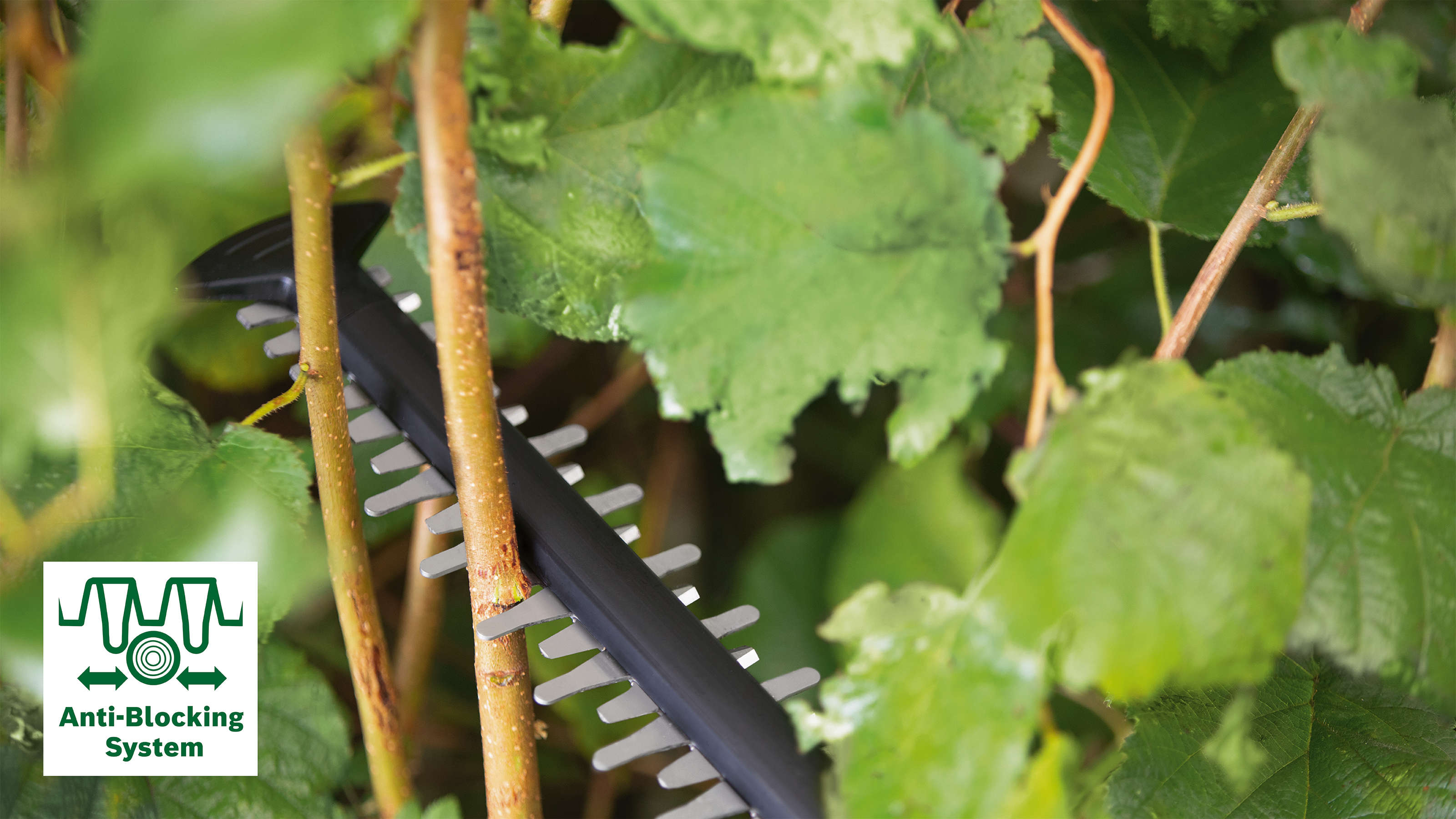 BOSCH EasyHedgeCut Akku-Heckenschere