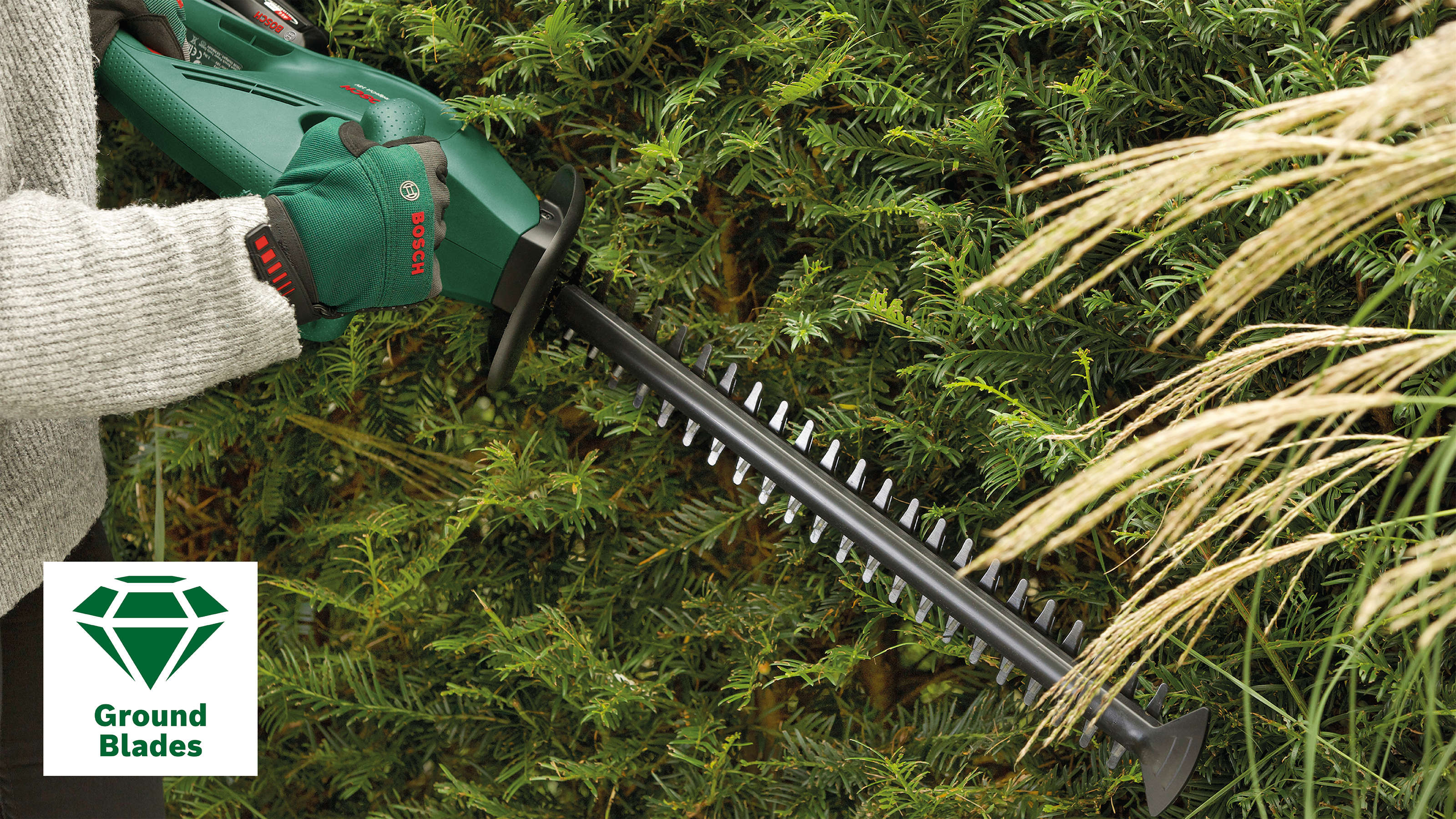 BOSCH EasyHedgeCut Akku-Heckenschere