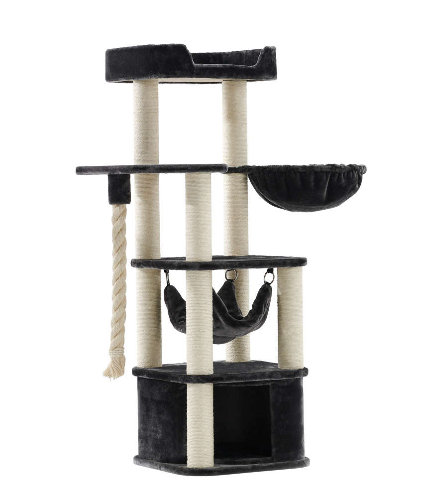 Nobby Kratzbaum Classic Zada