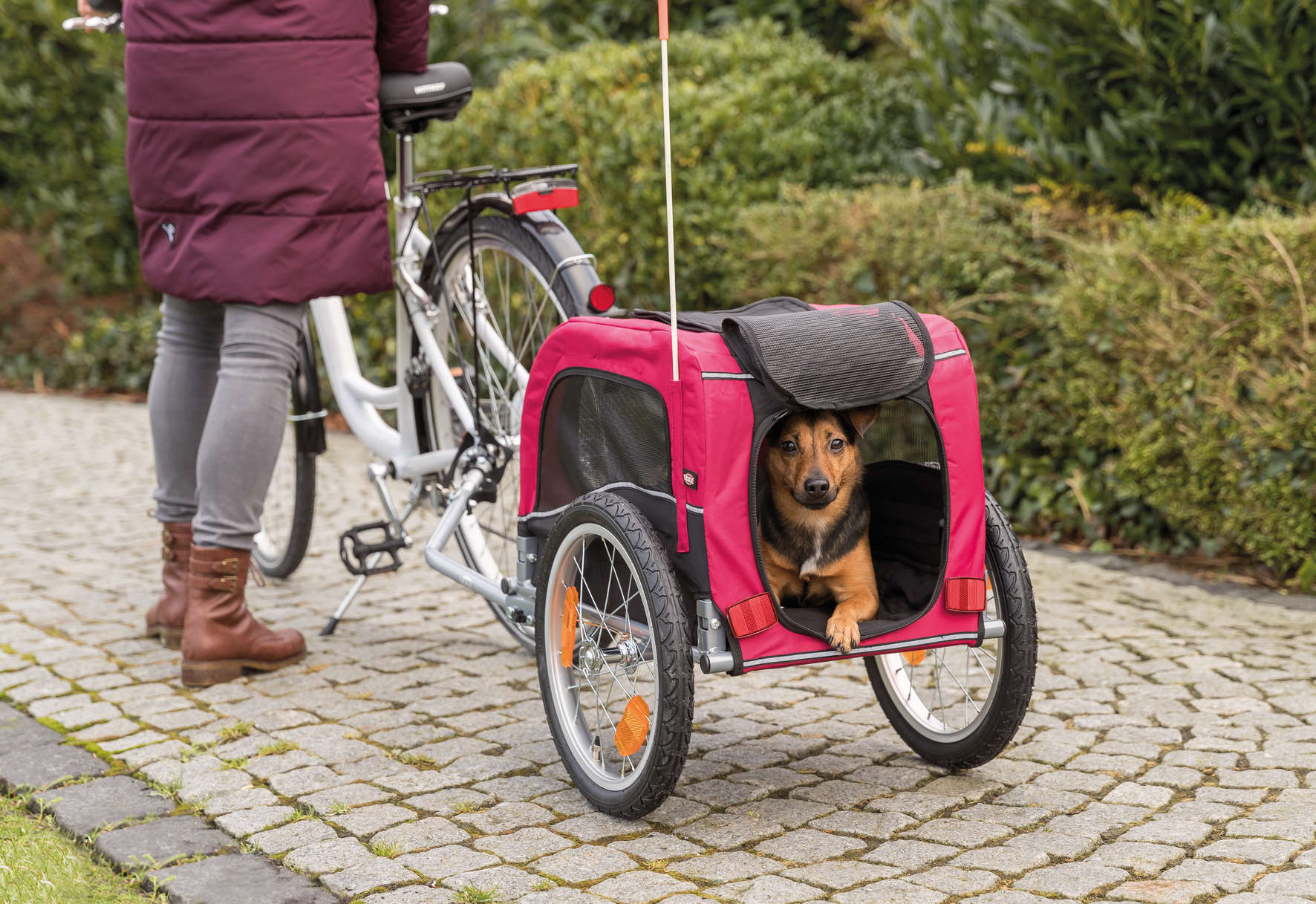 TRIXIE Fahrrad-Anhänger für Hunde
