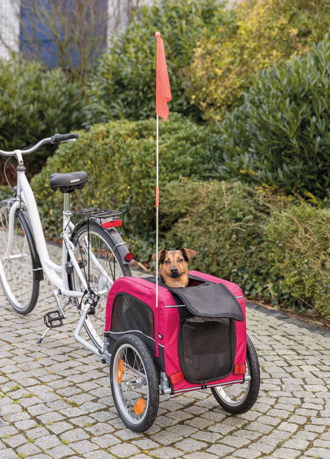 TRIXIE Fahrrad-Anhänger für Hunde