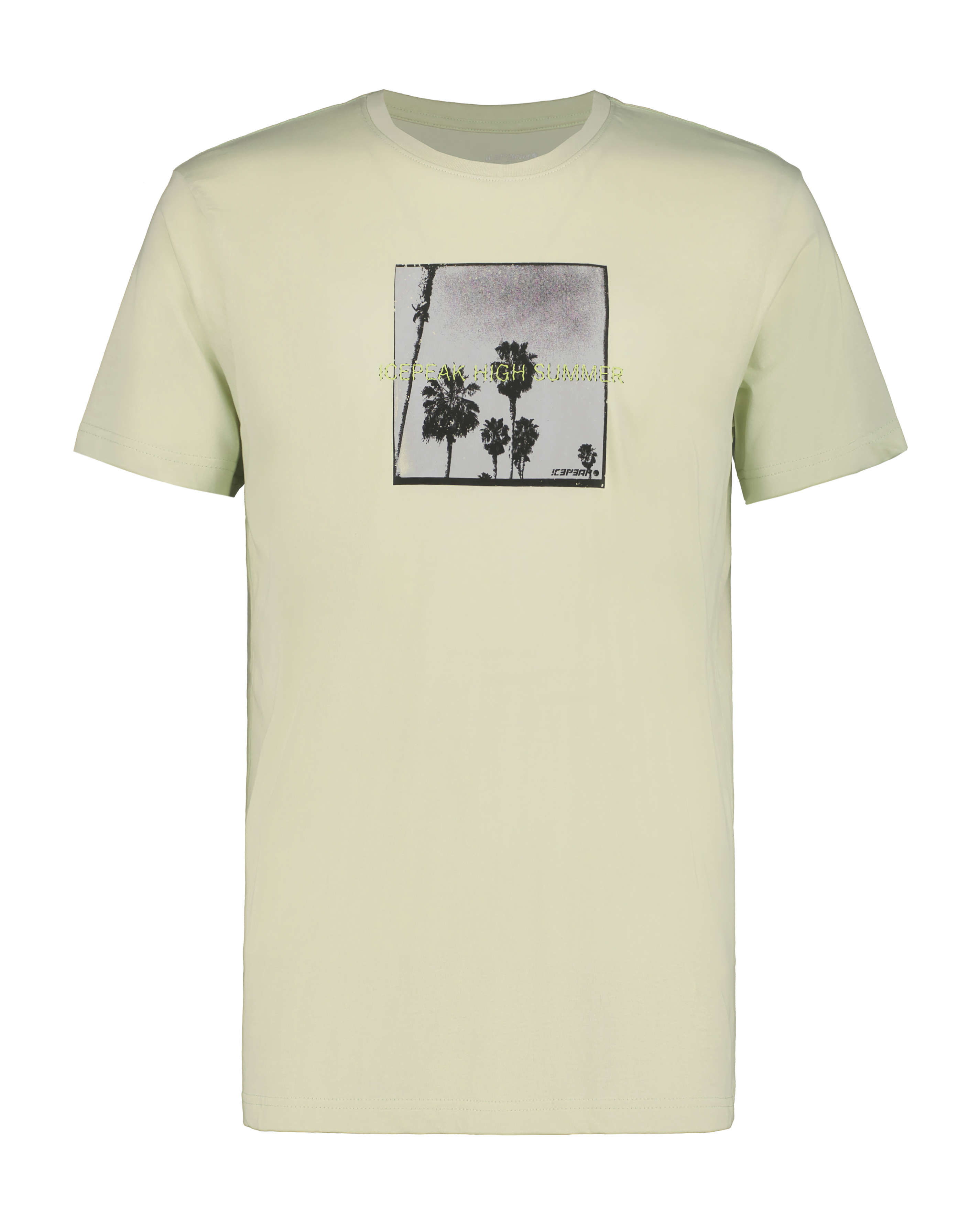 ICEPEAK Herren T-Shirt Mankato