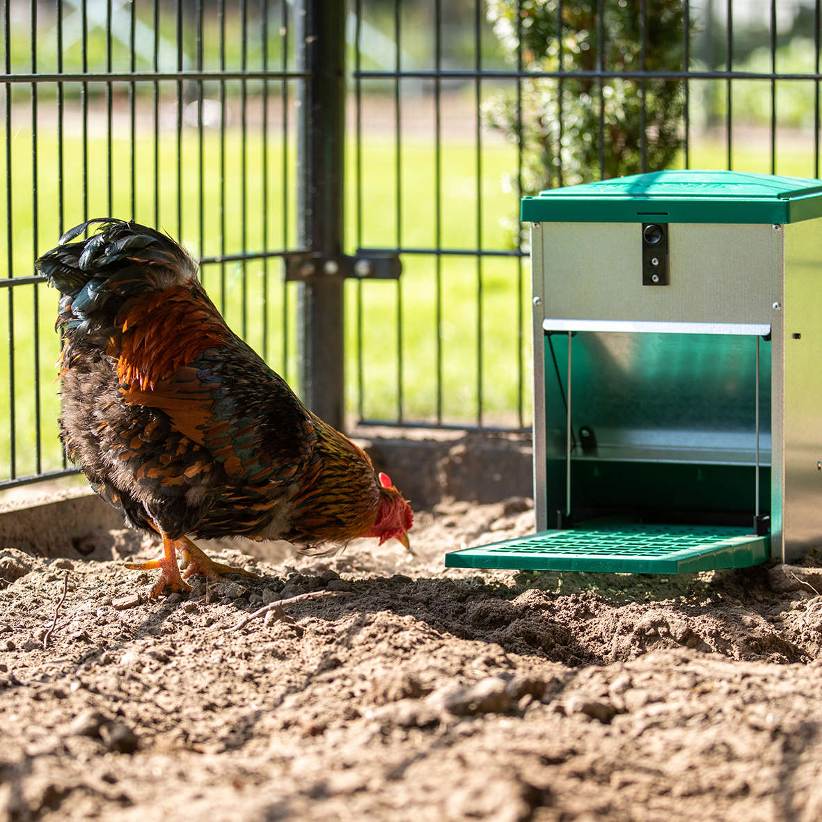 Feedomatic Futterautomat mit Trittklappe
