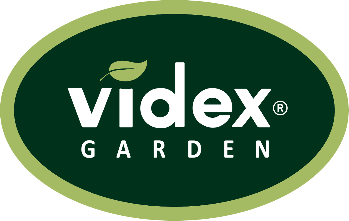 VIDEX