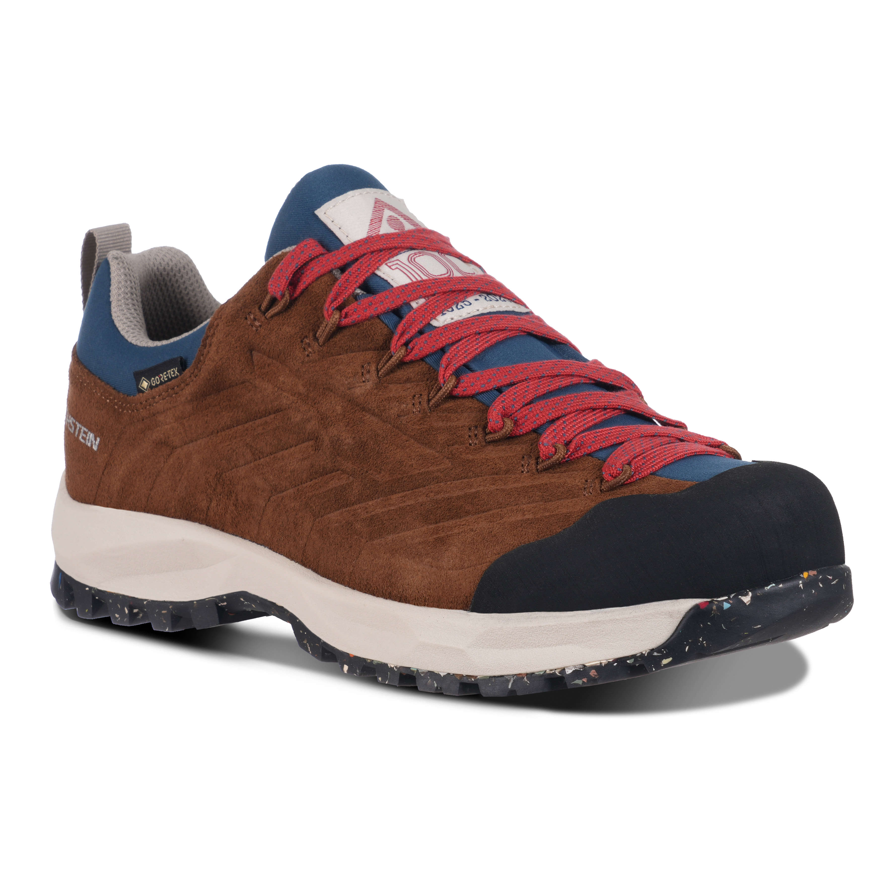 DACHSTEIN Damen Trekkingschuhe GTX 1925 WMN Lowcut Sport