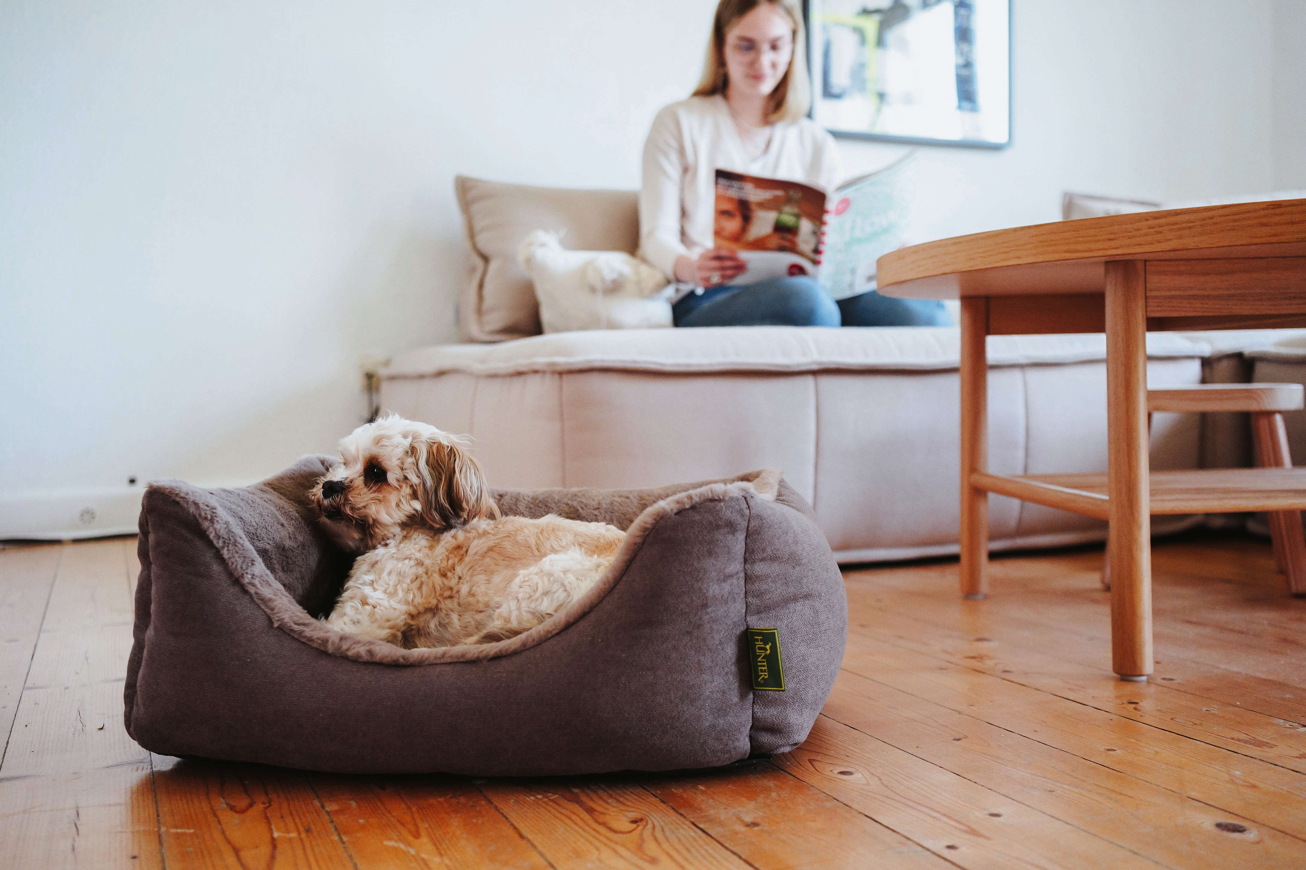 HUNTER Orthopädisches Hundesofa Rockford