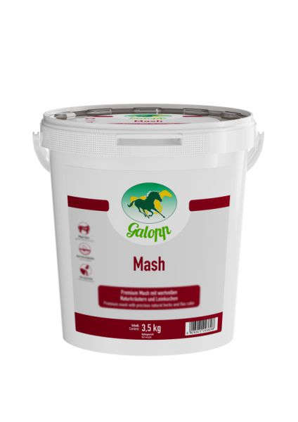 Galopp Mash