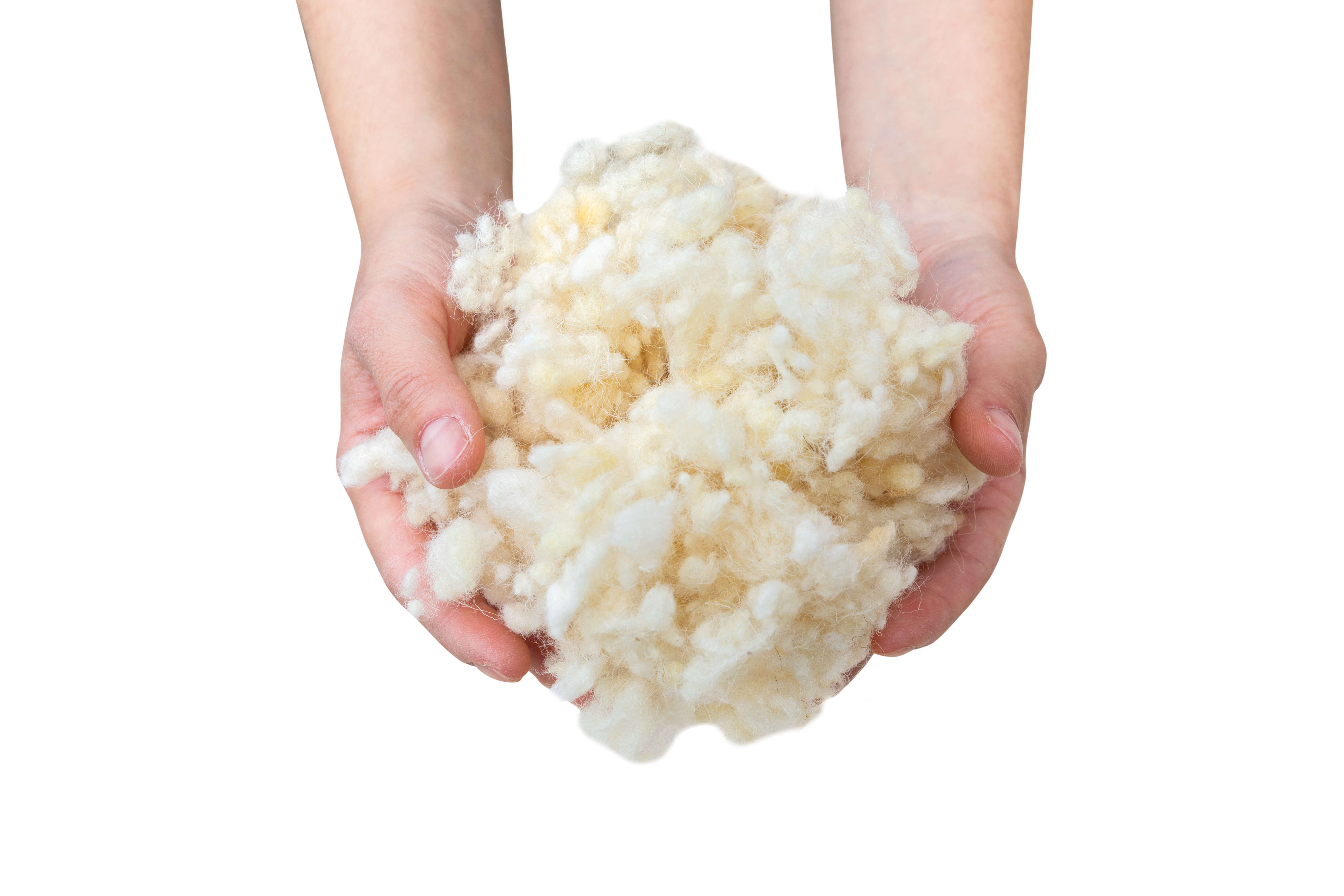 Steinbach Filter Wool Flakes