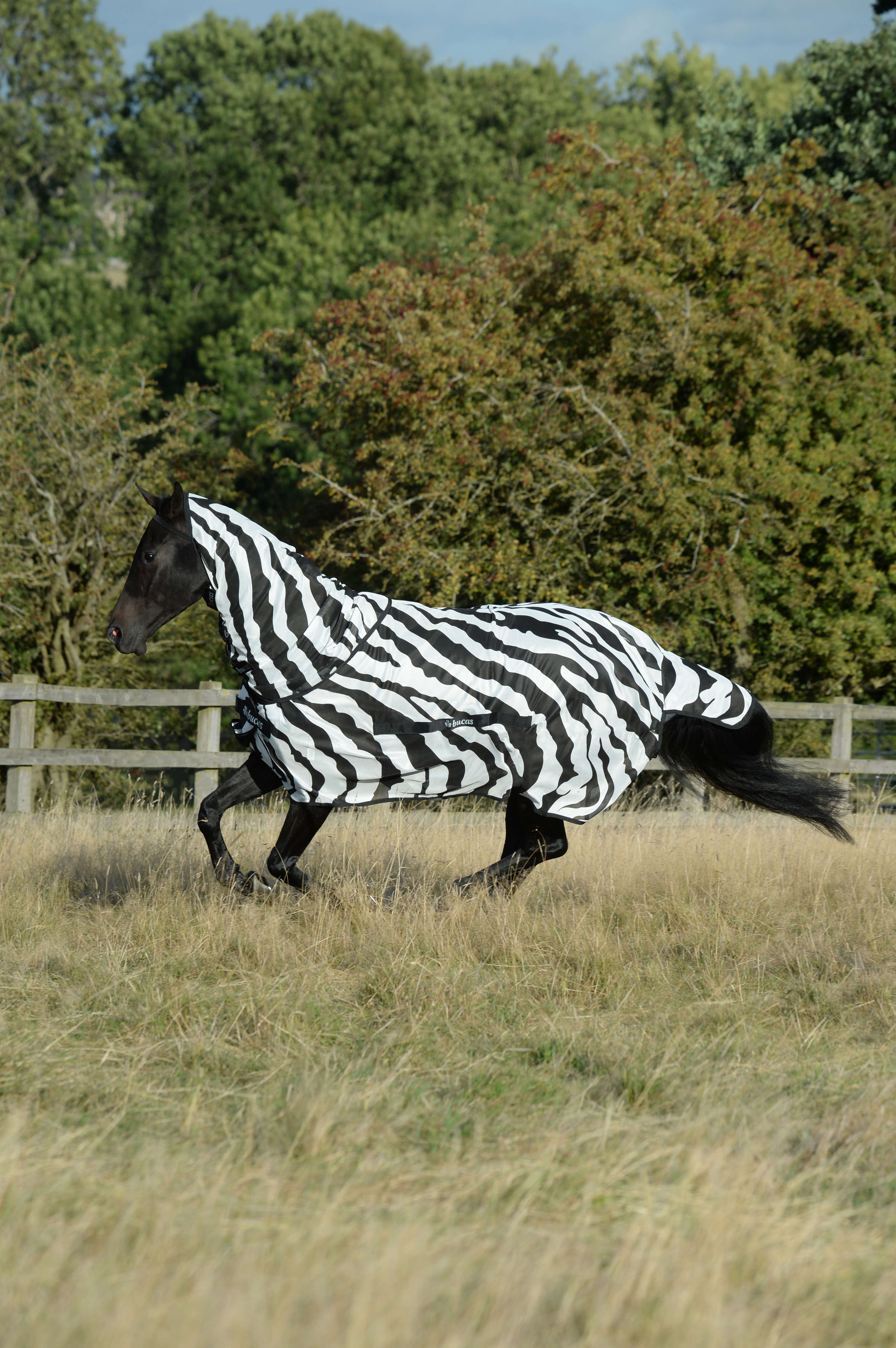 bucas Fliegendecke Zebra Full-Neck