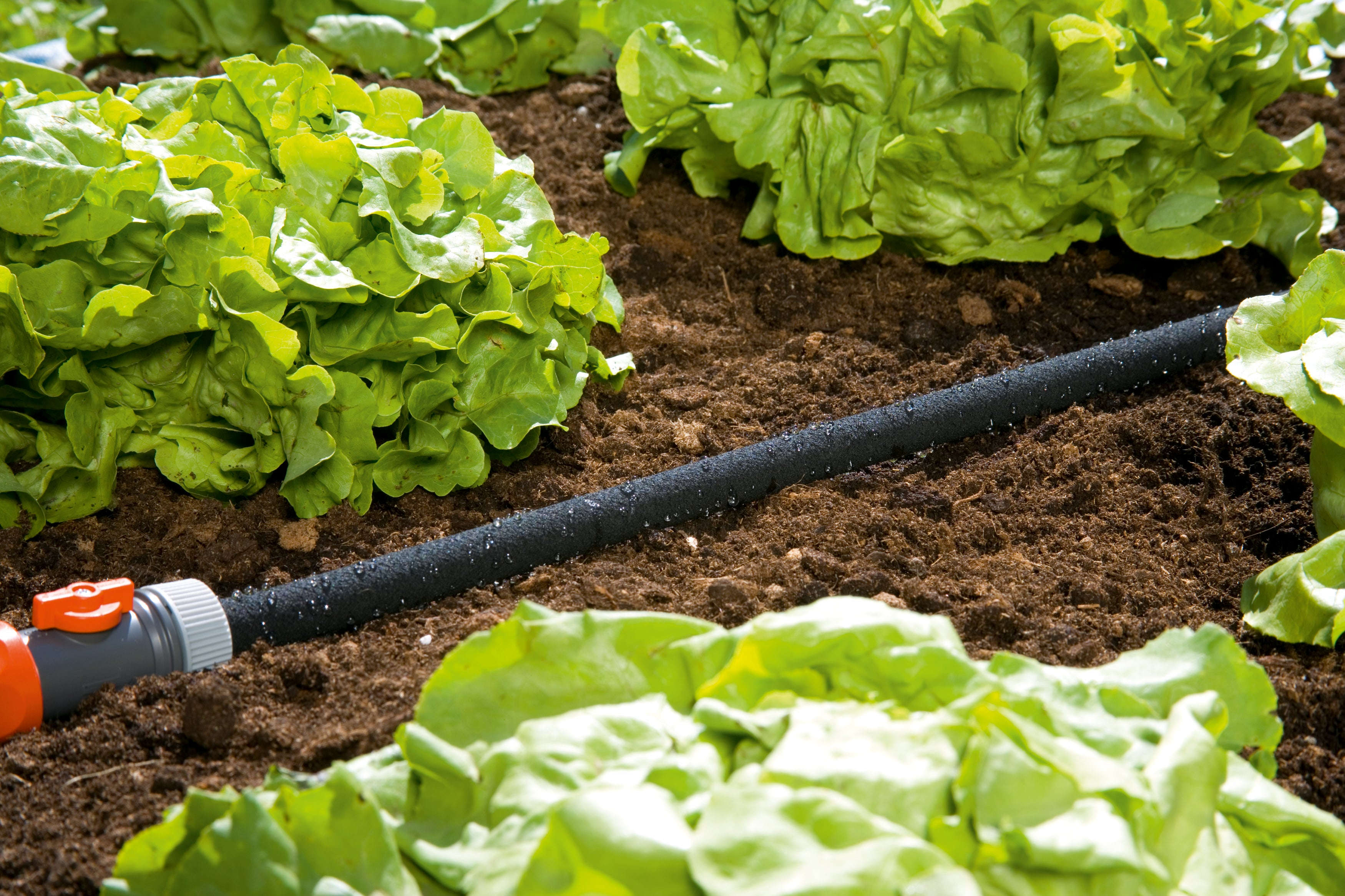 GARDENA Perl-Regner 15 m