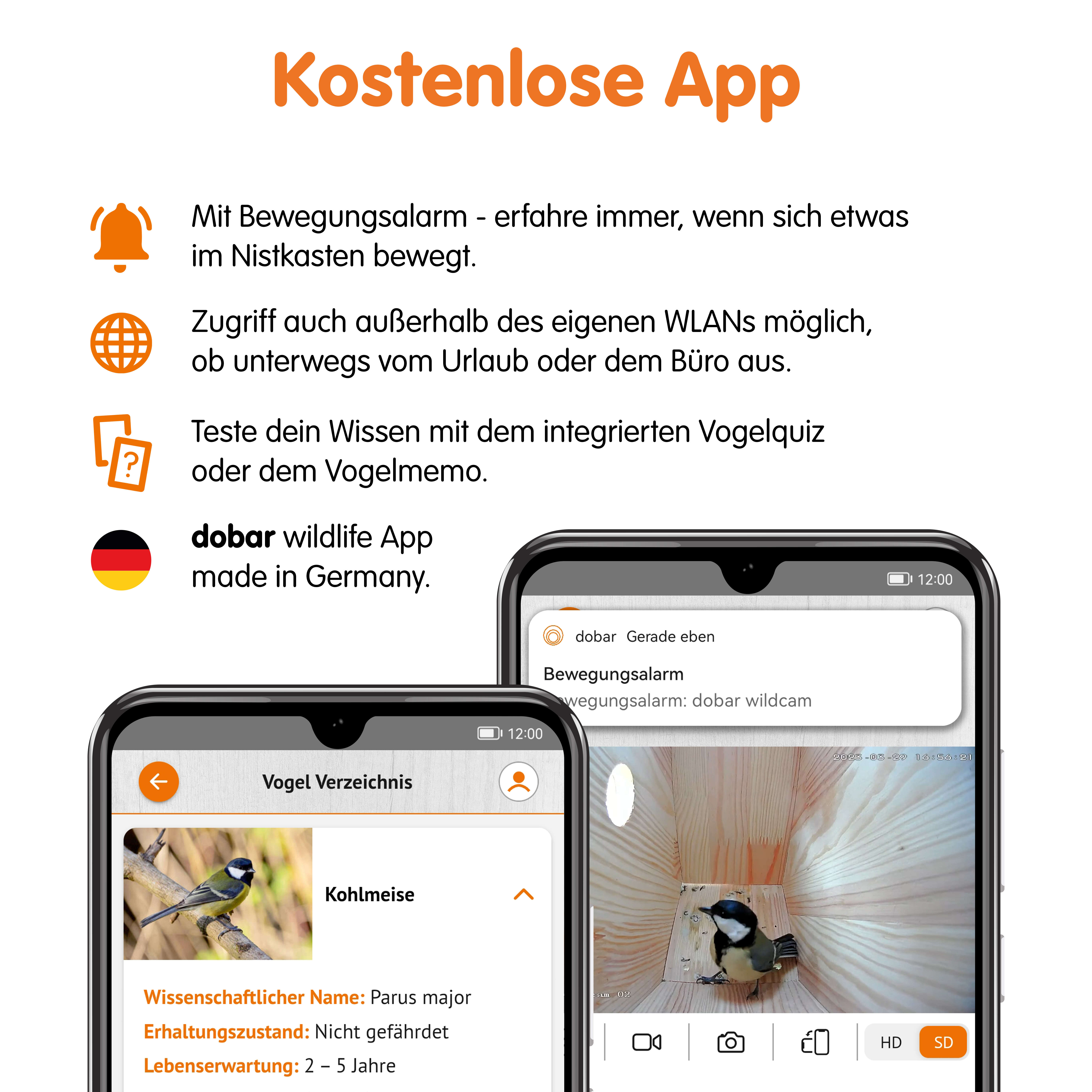 dobar Nistkasten Spitzdach Karsten mit WiFi-Kamera
