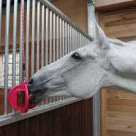 BIZZY Bizzy HORSE Ball