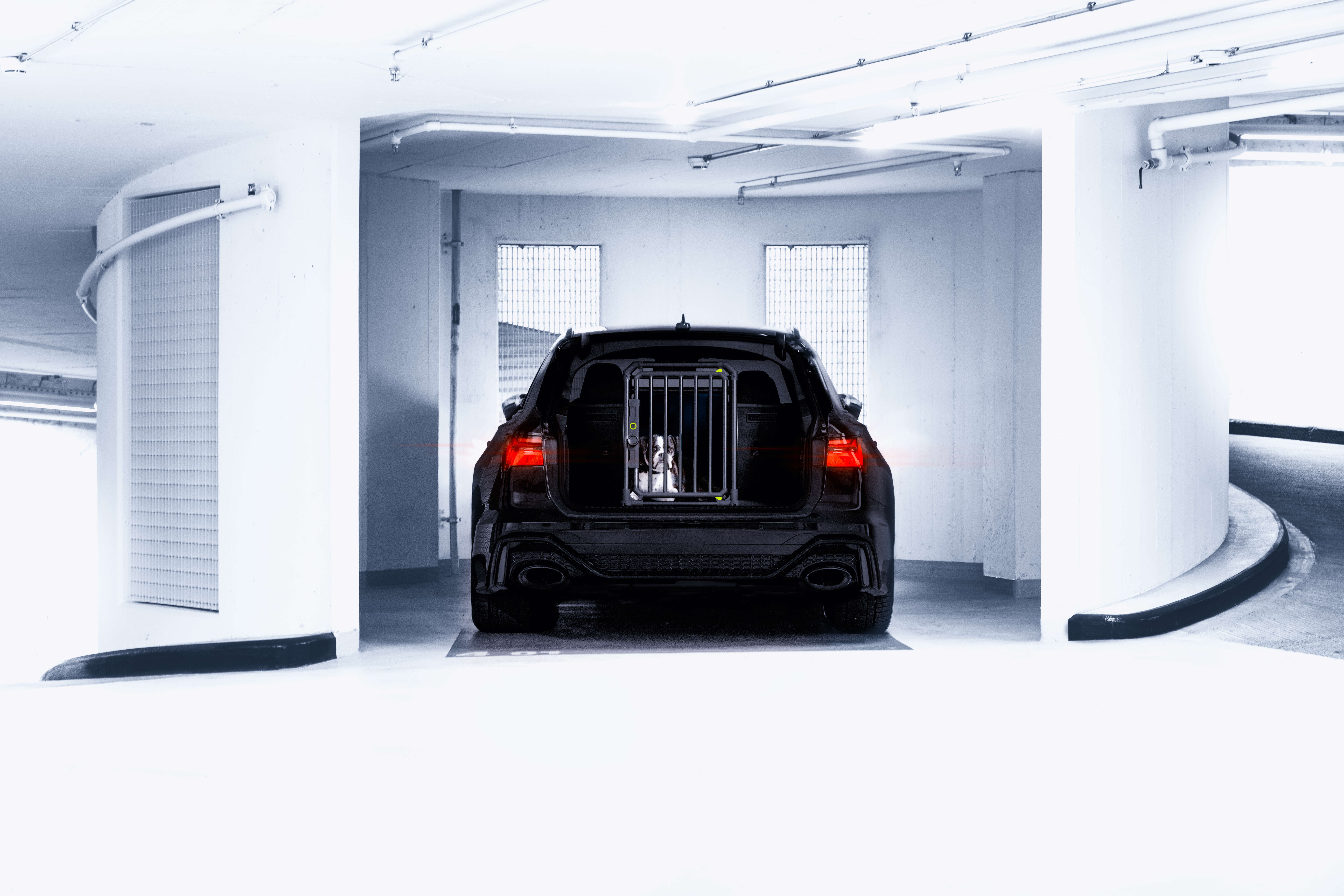 4pets Hundetransportbox Pro Noir