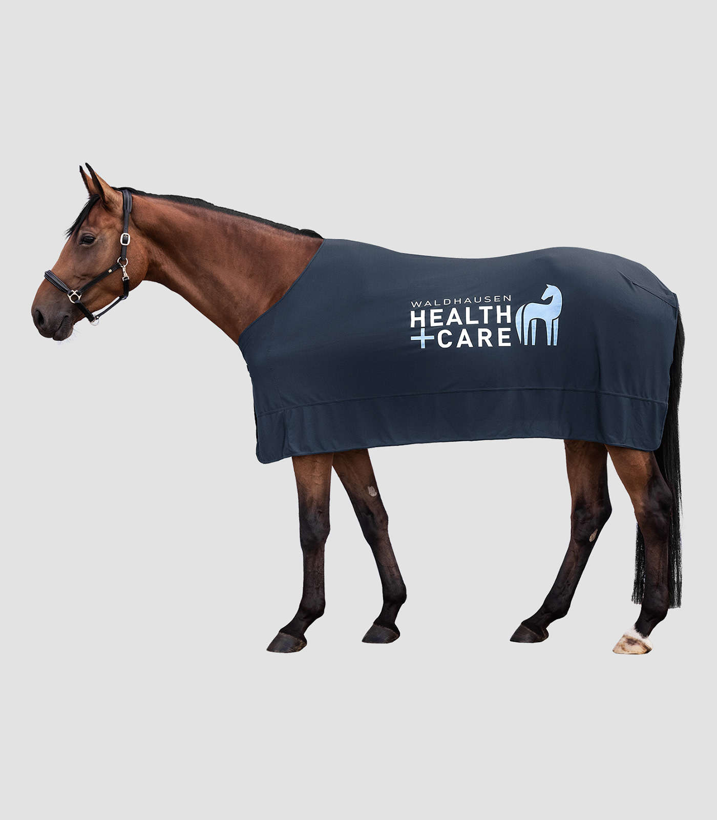 WALDHAUSEN Health + Care Ice Layer Decke