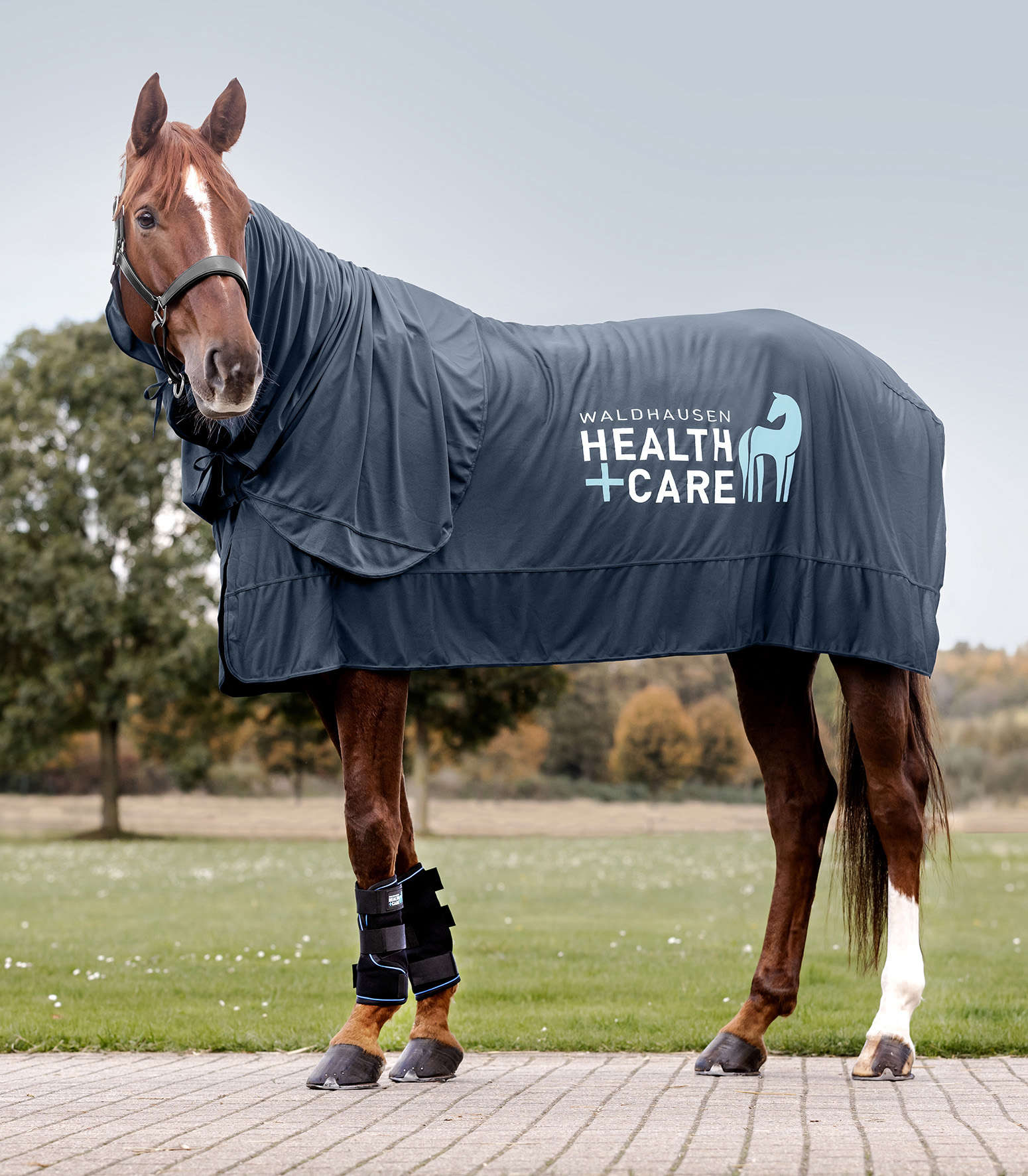 WALDHAUSEN Health + Care Ice Layer Decke