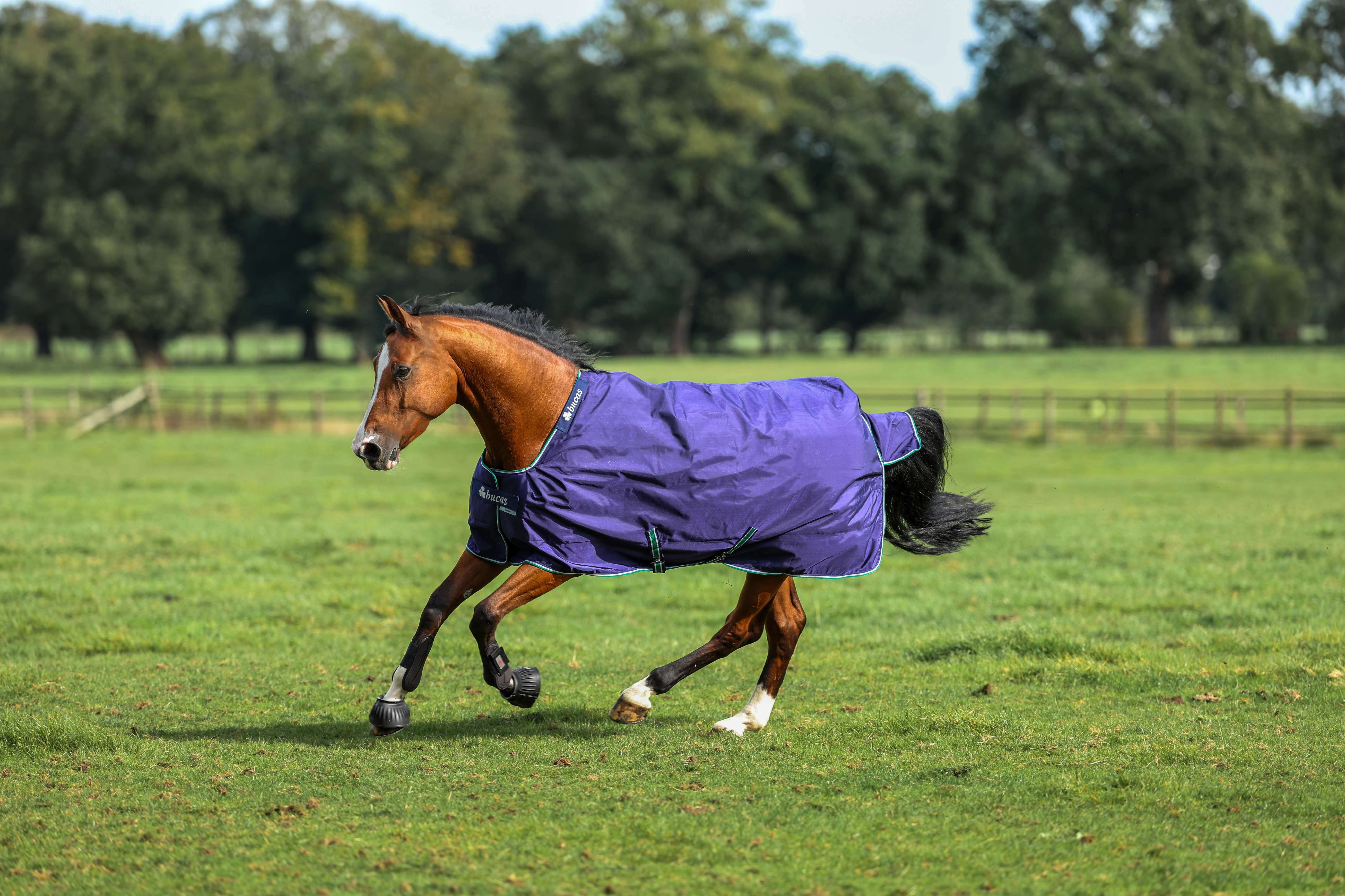 bucas Regendecke Smartex Rain
