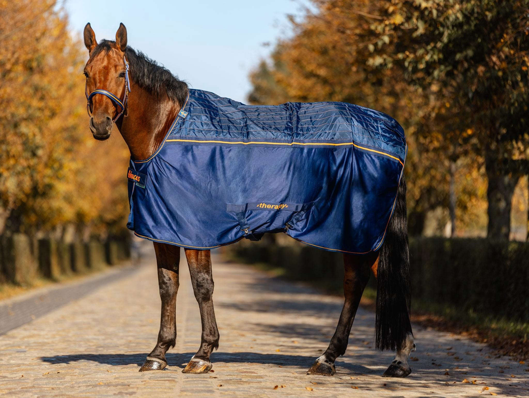 bucas Therapie- & Abschwitzdecke Therapy Cooler