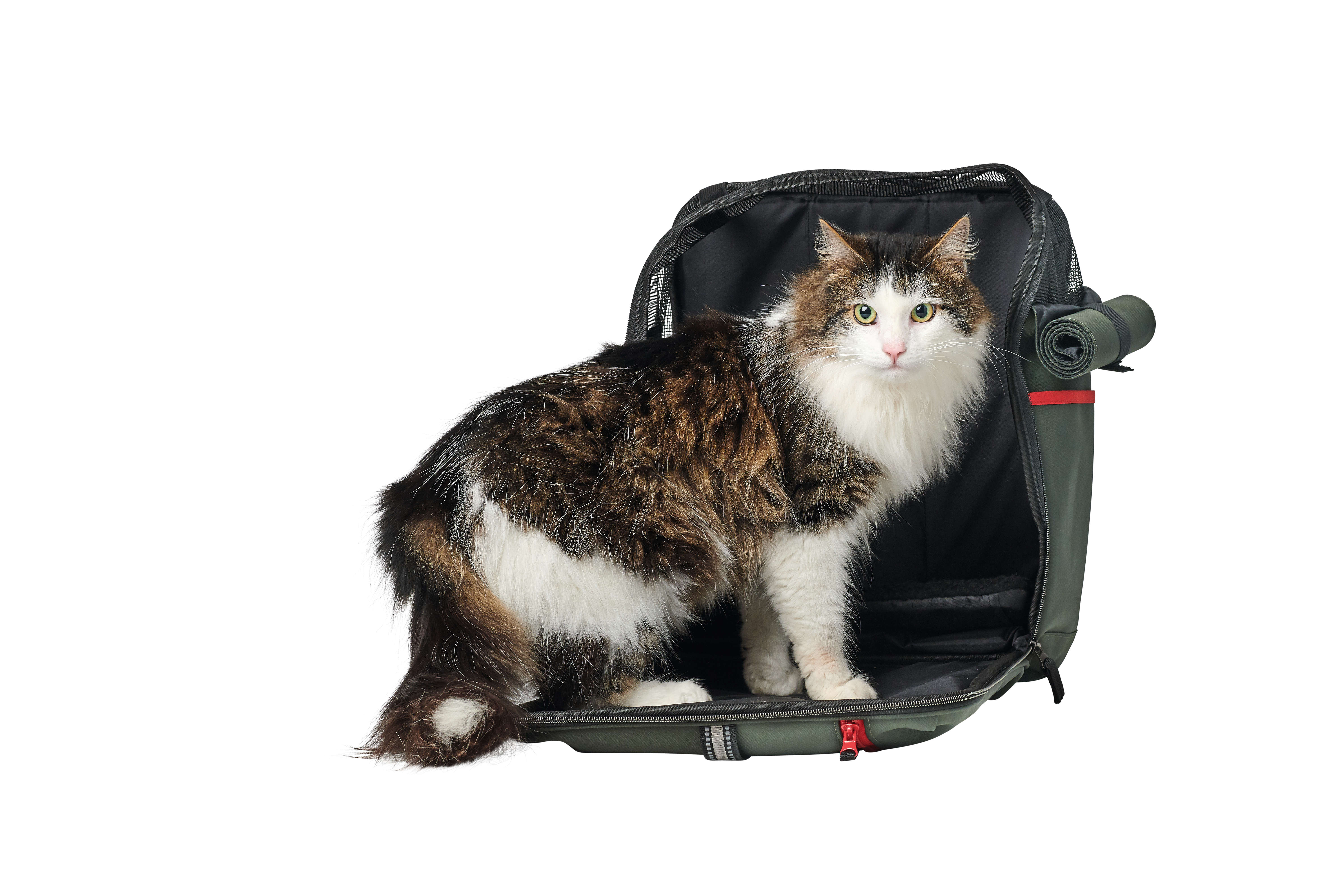 HUNTER Rucksack Orlando