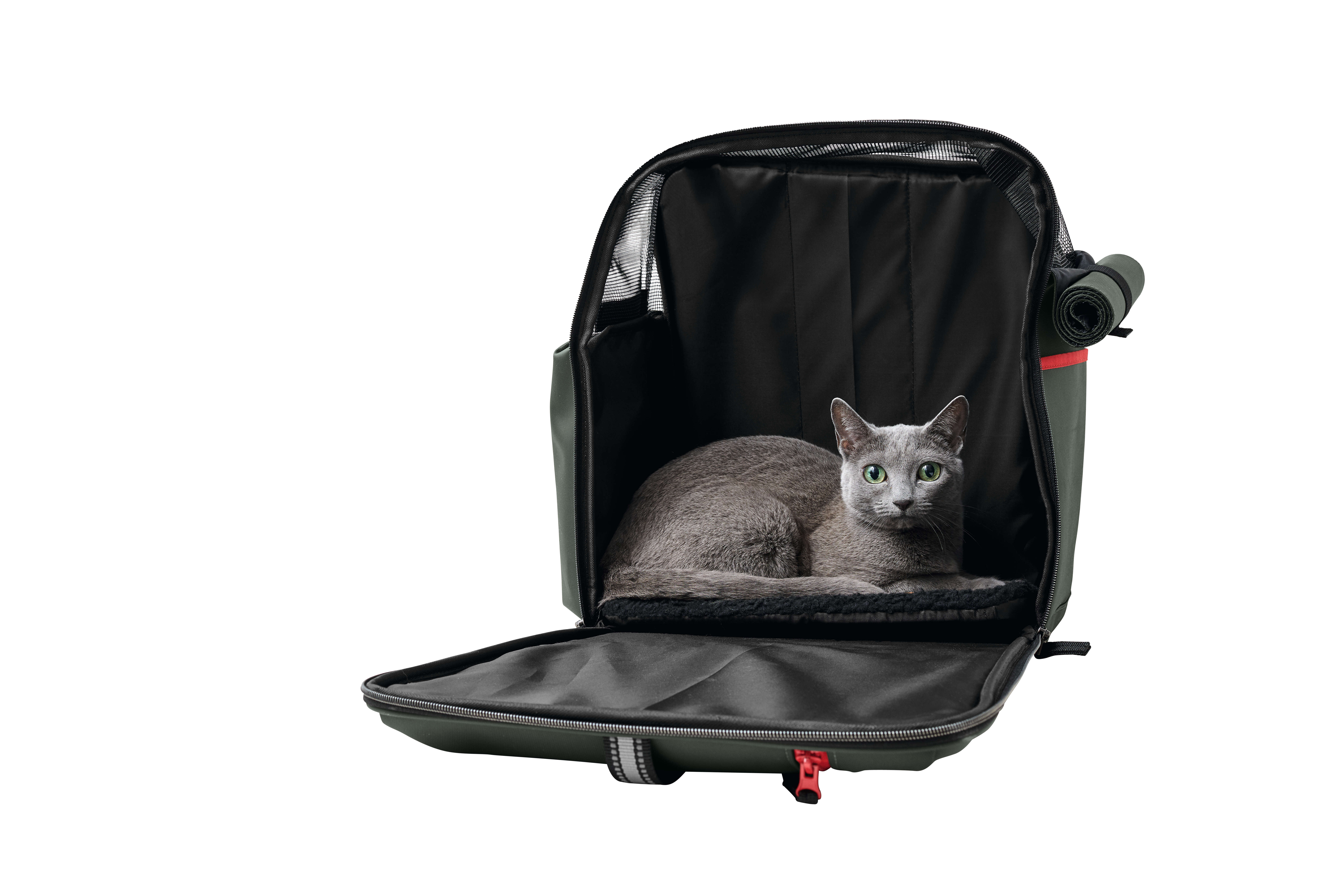 HUNTER Rucksack Orlando