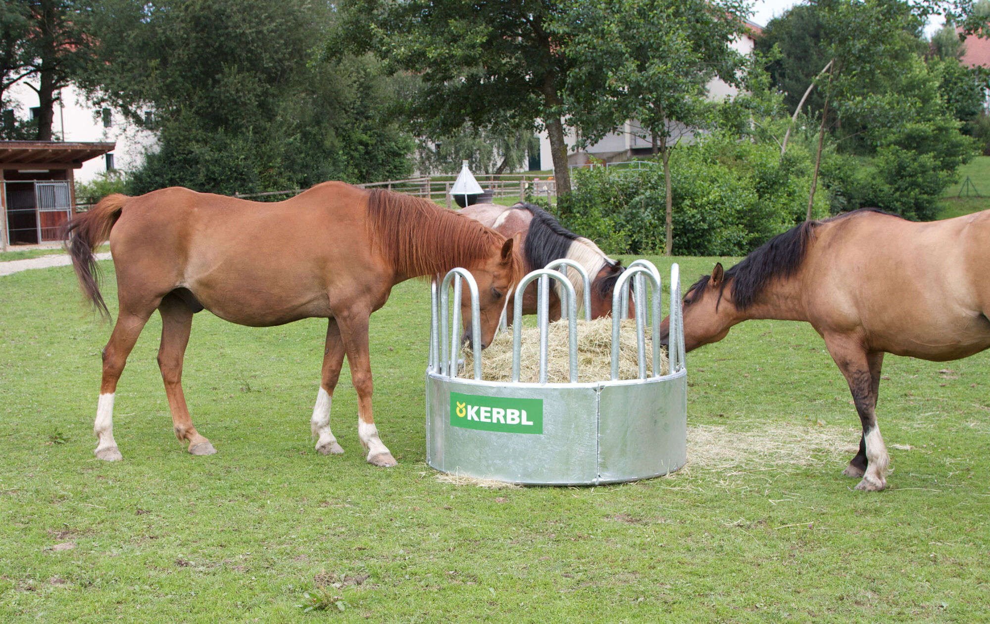 KERBL Rundraufe mit 8 Fressplätzen