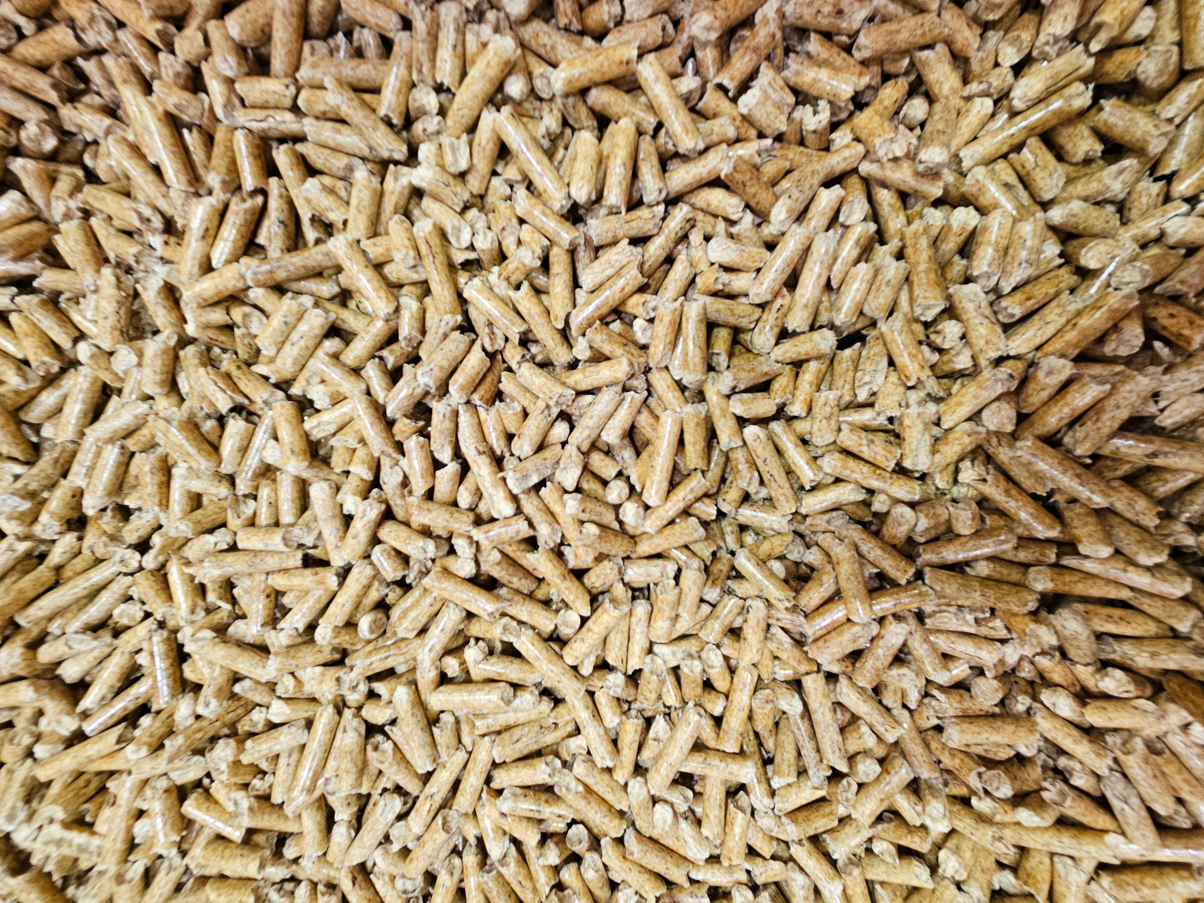 GOLDSPAN Champ Einstreu Holzpellets
