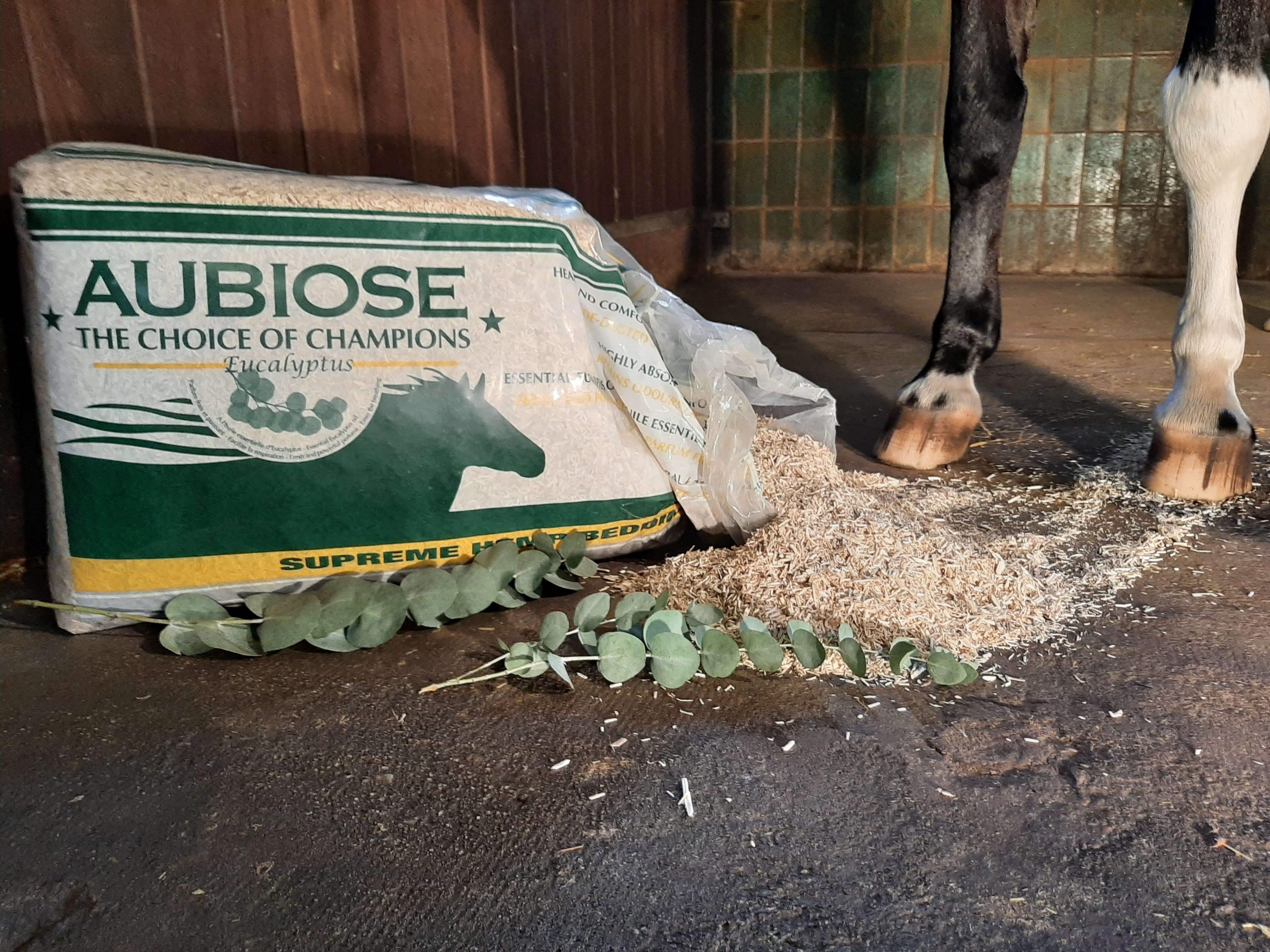 AUBIOSE Hanfeinstreu mit Eukalyptus für Pferde