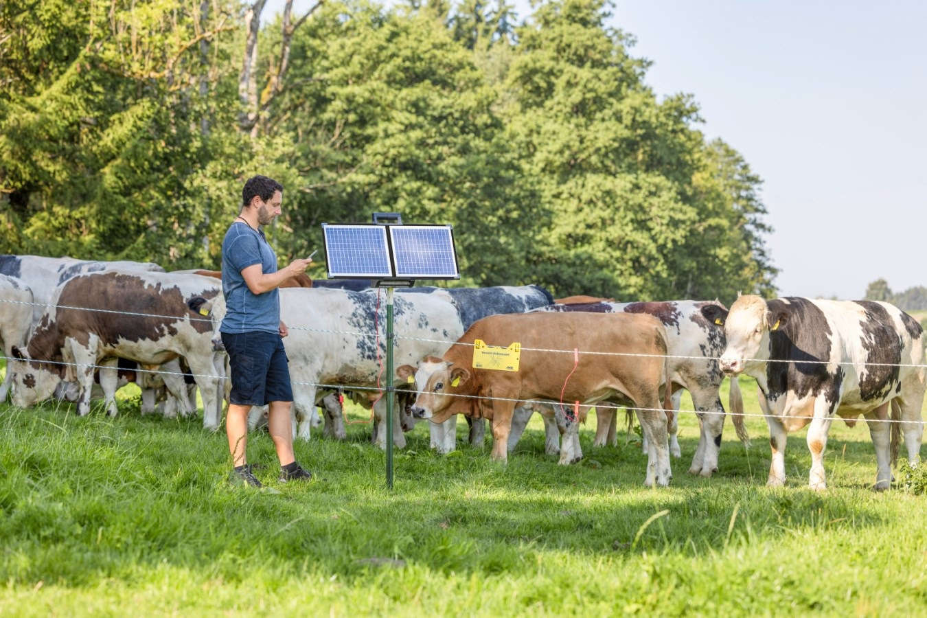 AKO Solar Weidezaungerät Sun Power S4000 Smart