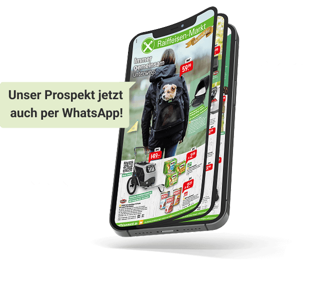 WhatsApp KeyVisual Teaser Startseite 650x570Px