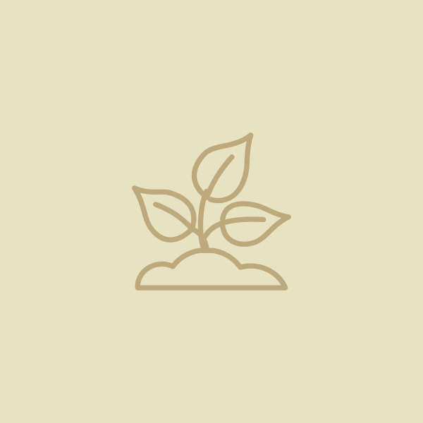 icon sortiment pflanze