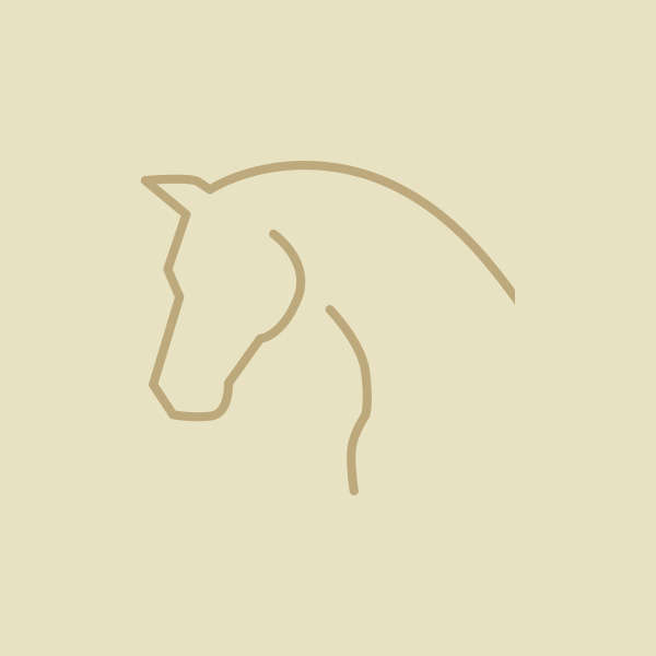 icon sortiment pferd