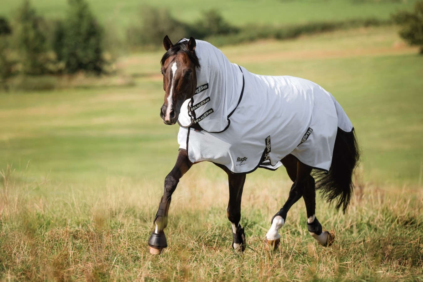 Covalliero Fliegendecke RugBe SuperFly