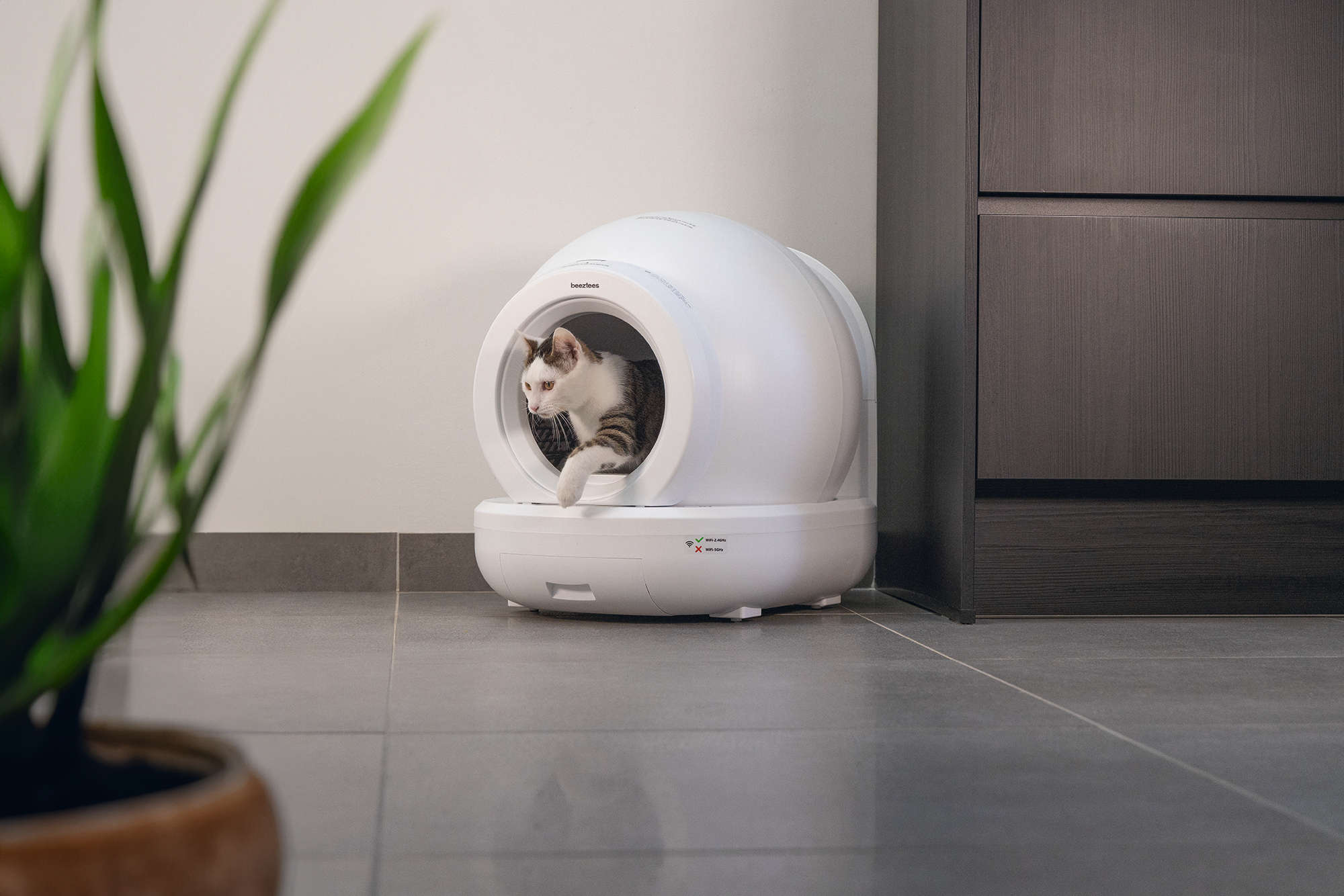 BEEZTEES Automatische Katzentoilette Moeza