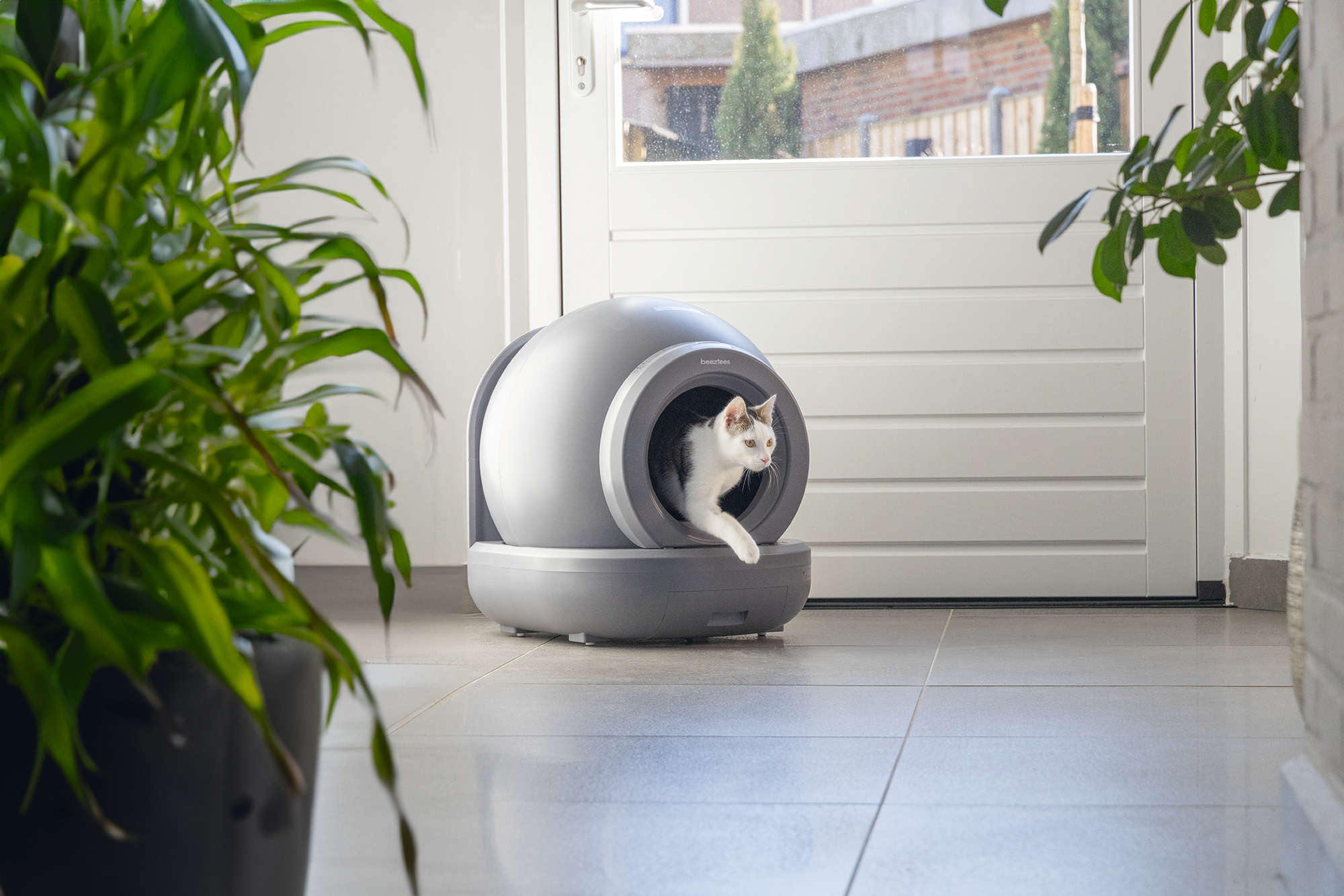BEEZTEES Automatische Katzentoilette Moeza