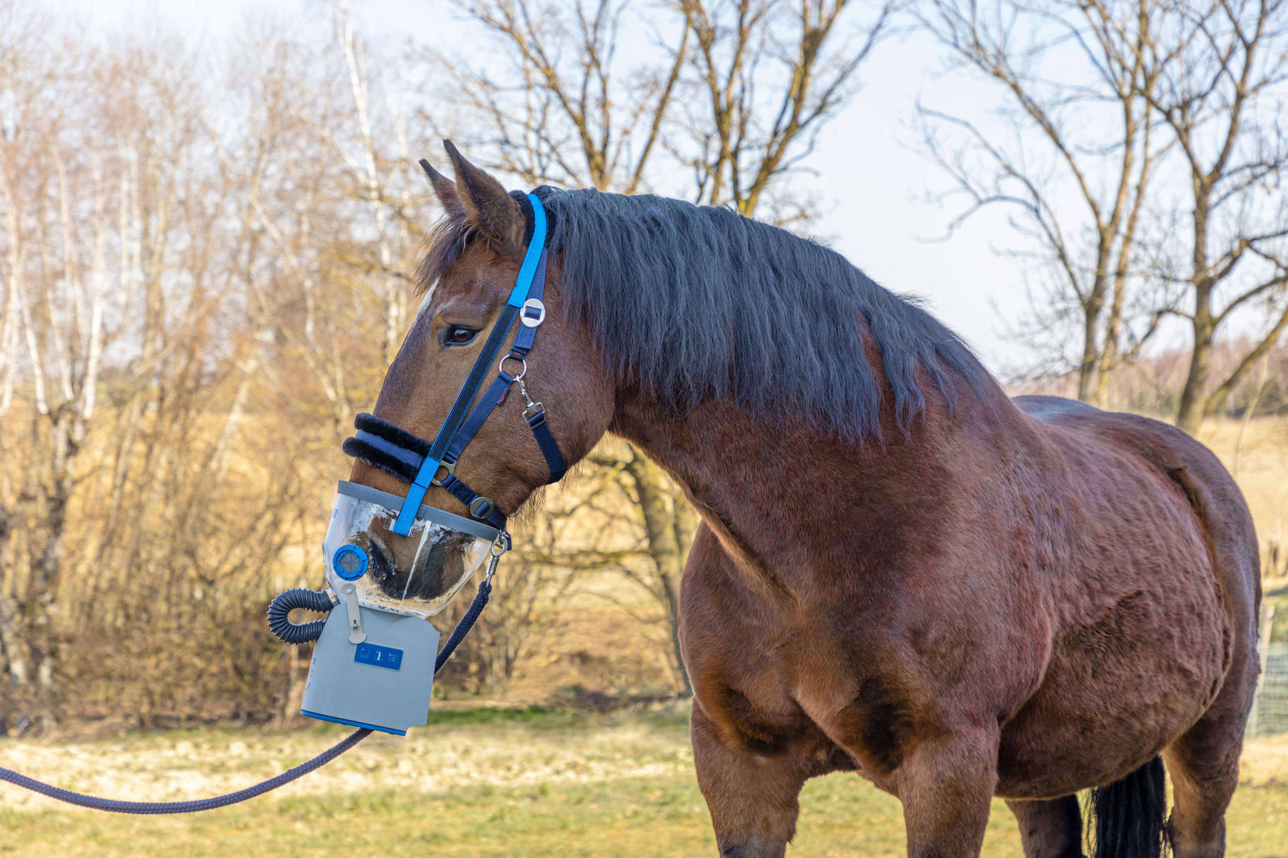 hippomed Akku-Ultraschall-Inhalator für Pferde AirOne Flex