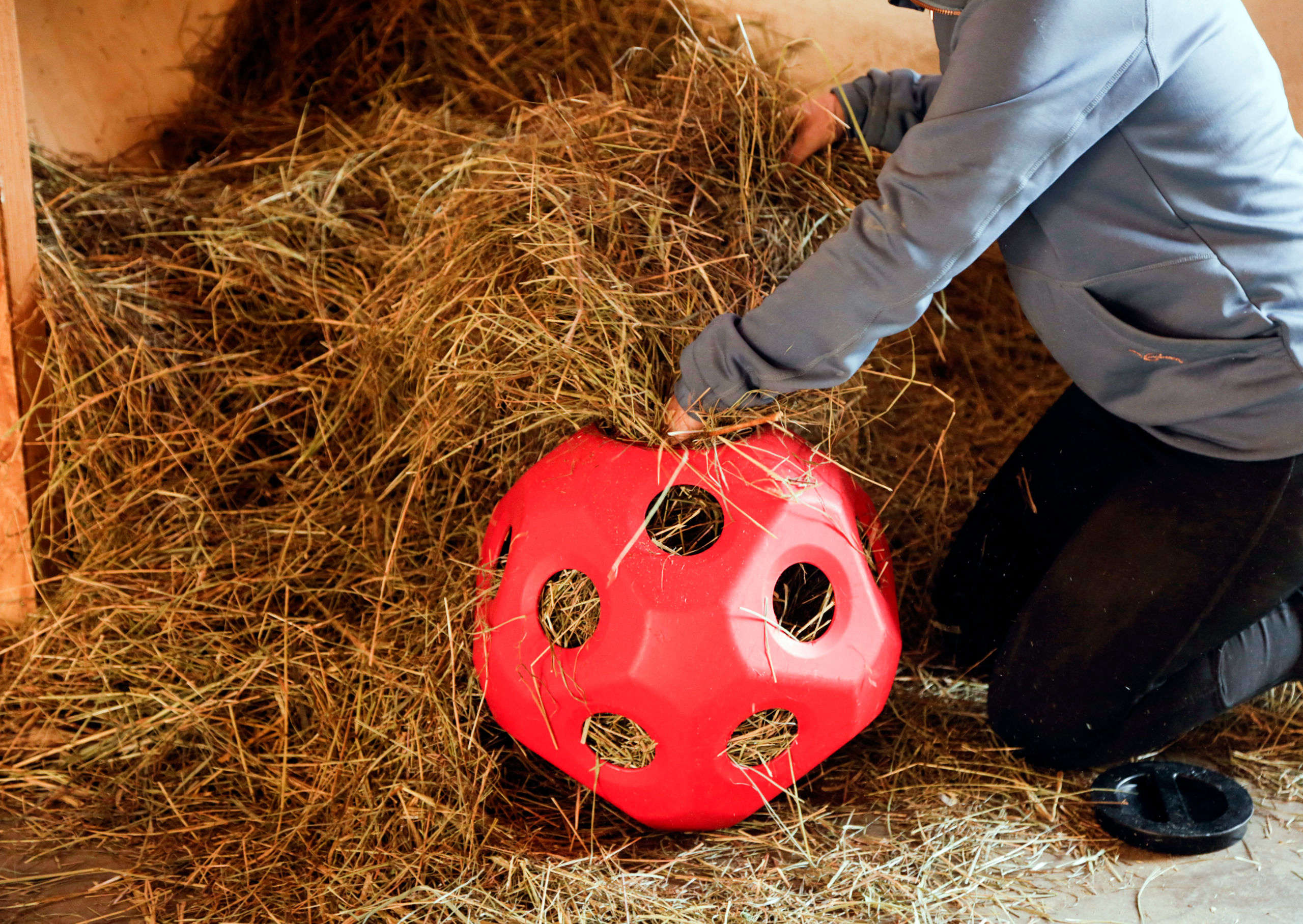 KERBL Futterspielball HeuBoy für Pferde