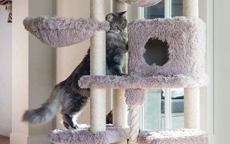 katzen kratzbaum katzenzubehoer startseite banner