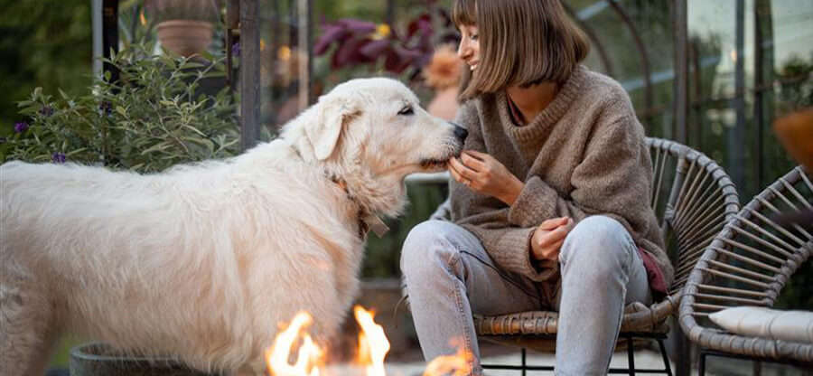 frau mit hund outdoor vorm feuer 1600x740
