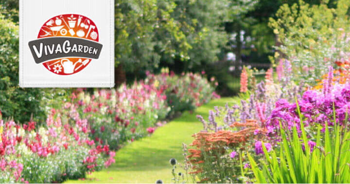 banner viva garden blumen garten 720x380