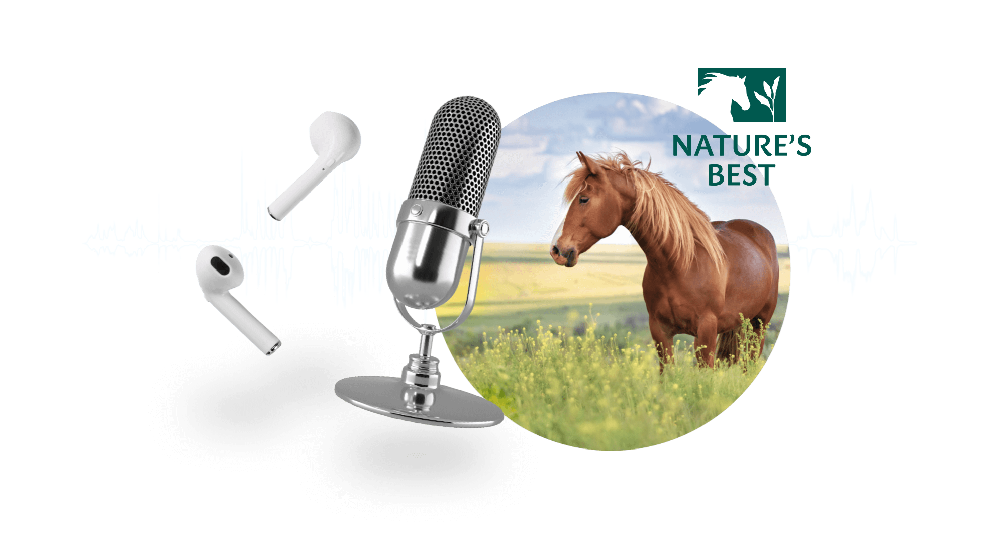 RAIF Markenwelt NB Podcastbanner 2000x1072px