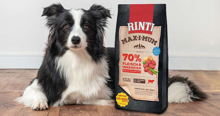 hund liegt neben hundefutter rinti max i mum futtersack rind