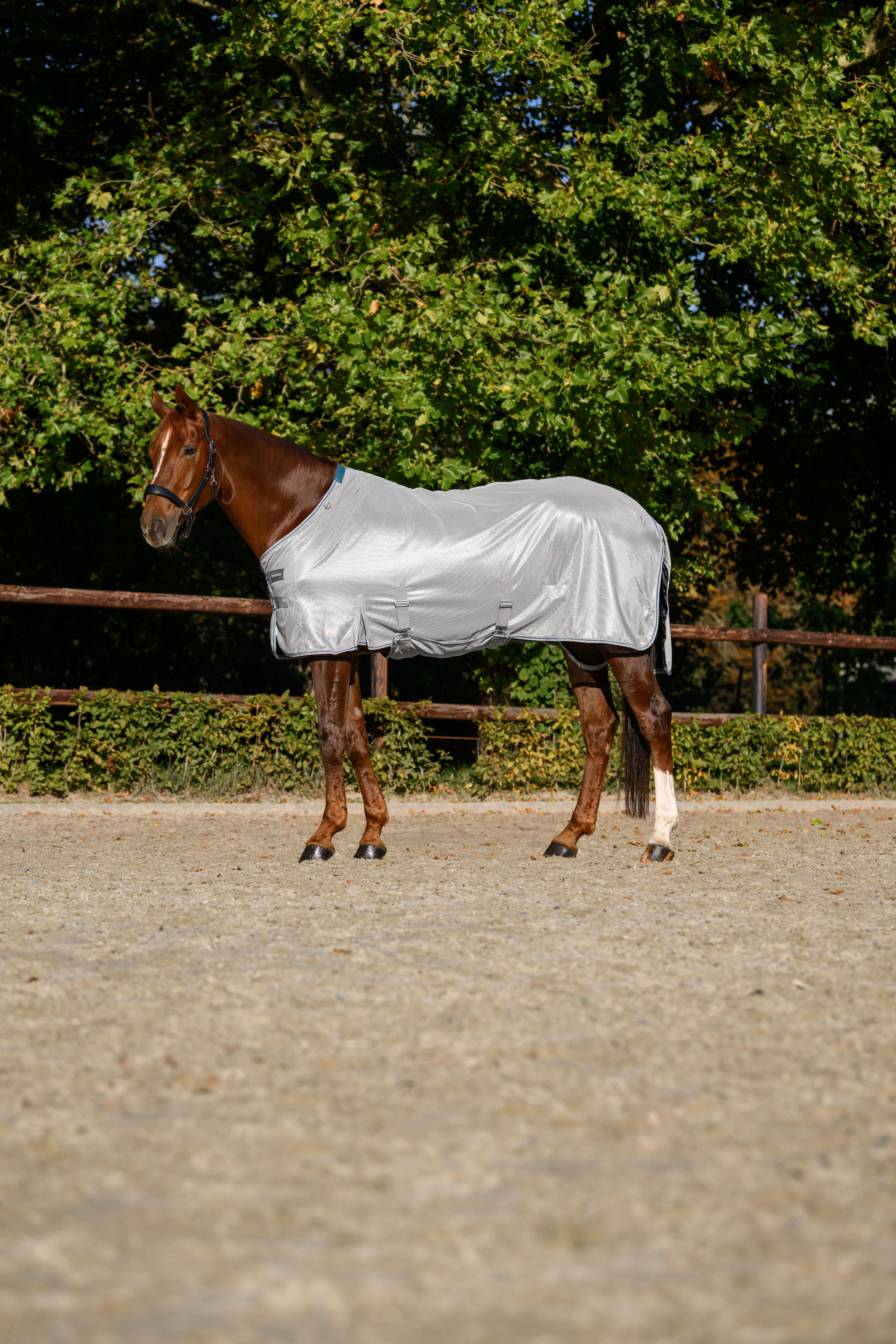 KANTRIE Fliegendecke Protect Plus