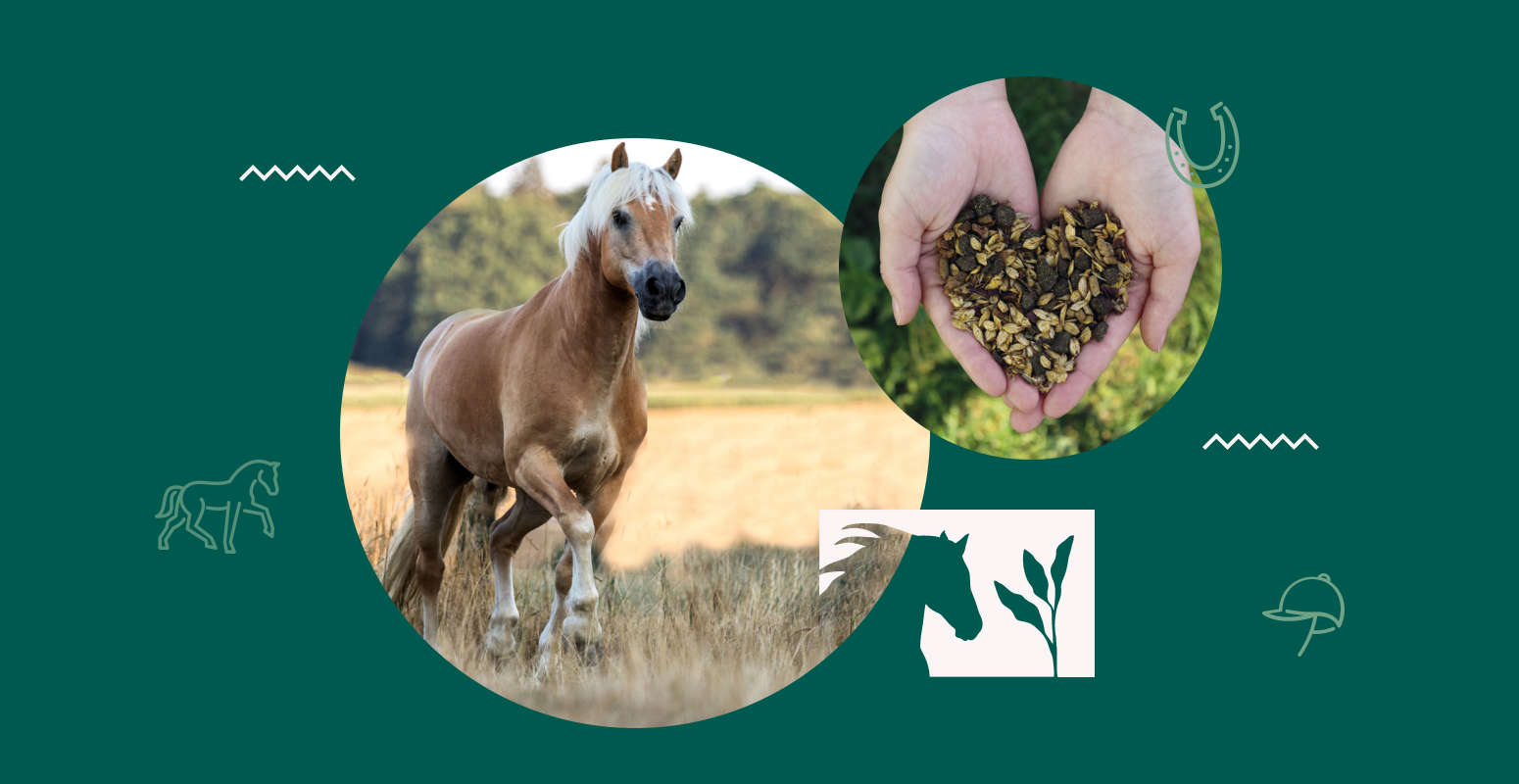 natures best sortimentsuebersicht banner